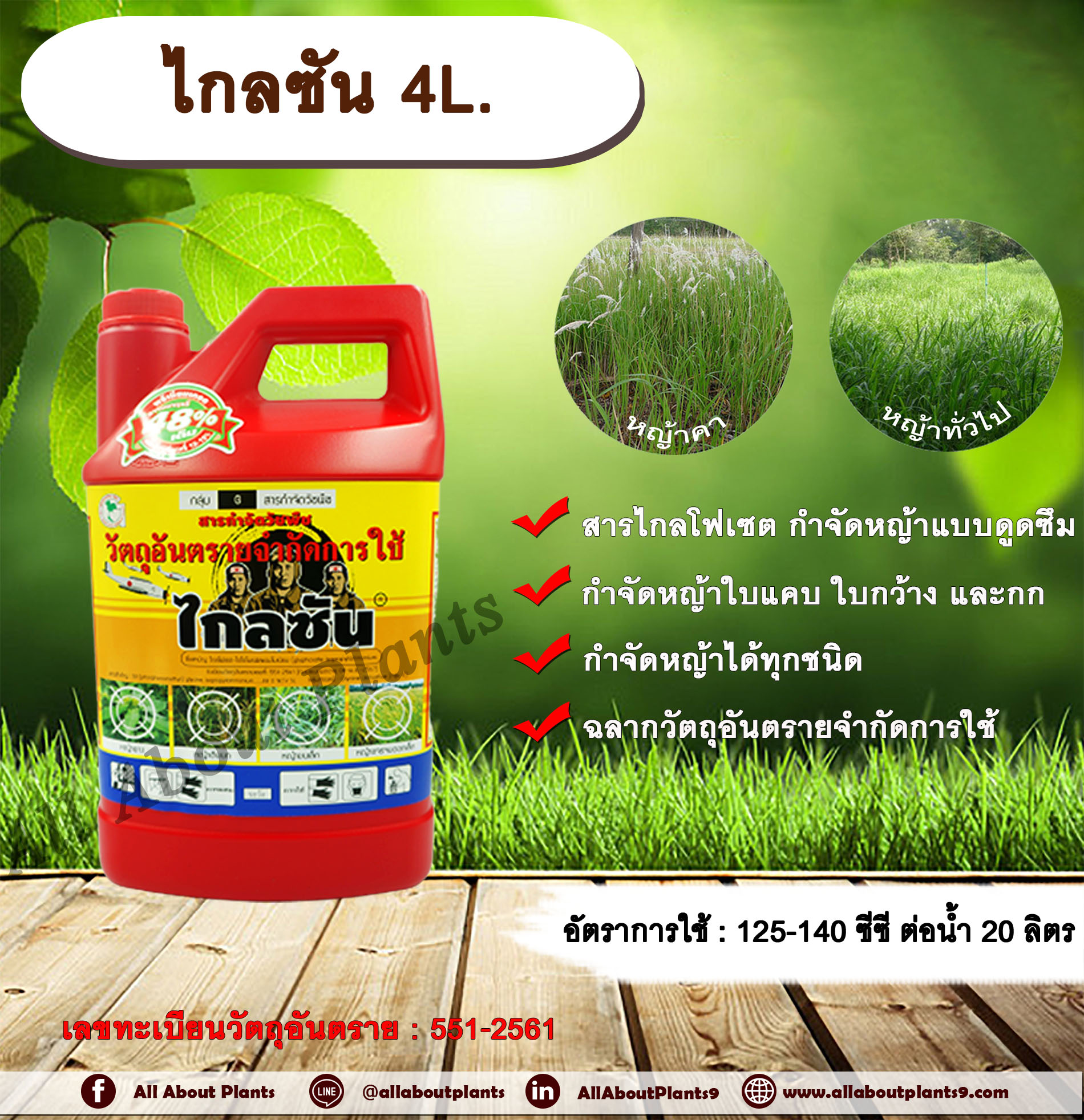 ไกลซัน 4L ไกลโฟเซต ยาฆ่าหญ้า สารกำจัดวัชพืช ยาดูดซึม ฆ่าหญ้ารอบบ้าน ฆ่าหญ้าในสวน หญ้าตายนาน ตายถึงรากถึงโคน ฆ่าหญ้าคา ฆ่าหญ้าทั่วไป วัชพืชข้ามปี ฆ่าหญ้าใบแคบ ฆ่าหญ้าใบกว้าง และกก ดูดซึมไม่เลือกทำลาย Glyphosate ฆ่าหญ้าบนคันนา allaboutplants ชิ้น