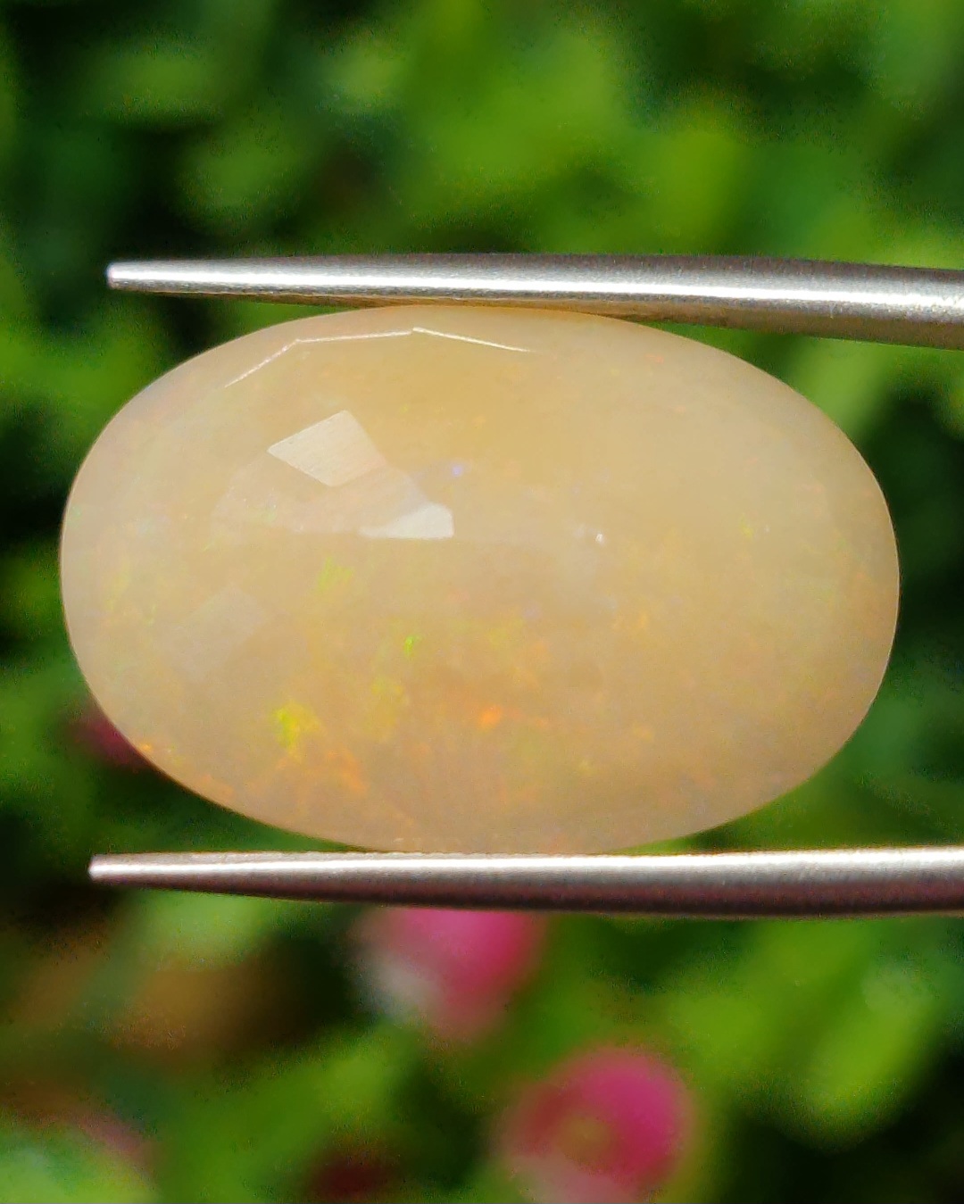 พลอย ไวท์ โอปอล White Opal 12.80 กะรัต (Cts.) พลอยแท้ อัญมณีมงคลประจําวันเกิด เครื่องประดับพลอย