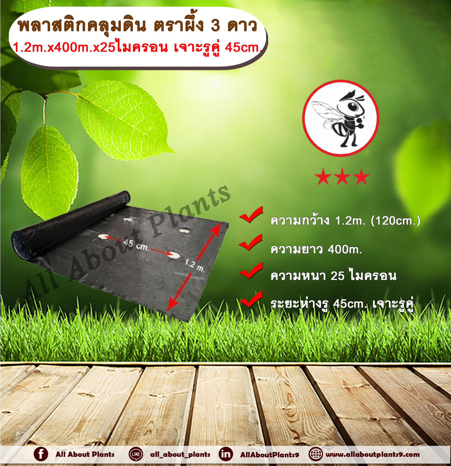 พลาสติกคลุมดิน ตราผึ้ง กว้าง 1.2 เมตร ยาว 400 เมตร หนา 25 ไมครอน เจาะรูคู่ 45 เซนติเมตร พลาสติกคลุมแปลง ผ้าคลุมดิน ผ้าคลุมแปลง คลุมแปลงเกษตร คลุมแปลงเพาะปลูก allaboutplants ชิ้น