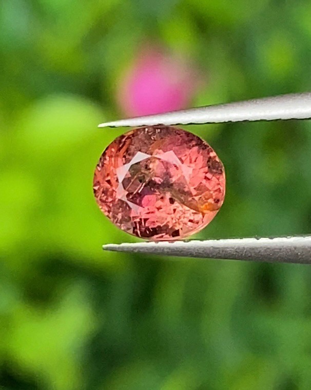 พลอย ชมพู พิ้ง แซฟไฟร์ Pink Sapphire 0.75 กะรัต (Cts.) พลอยแท้ อัญมณีมงคลประจําวันเกิด เครื่องประดับพลอย