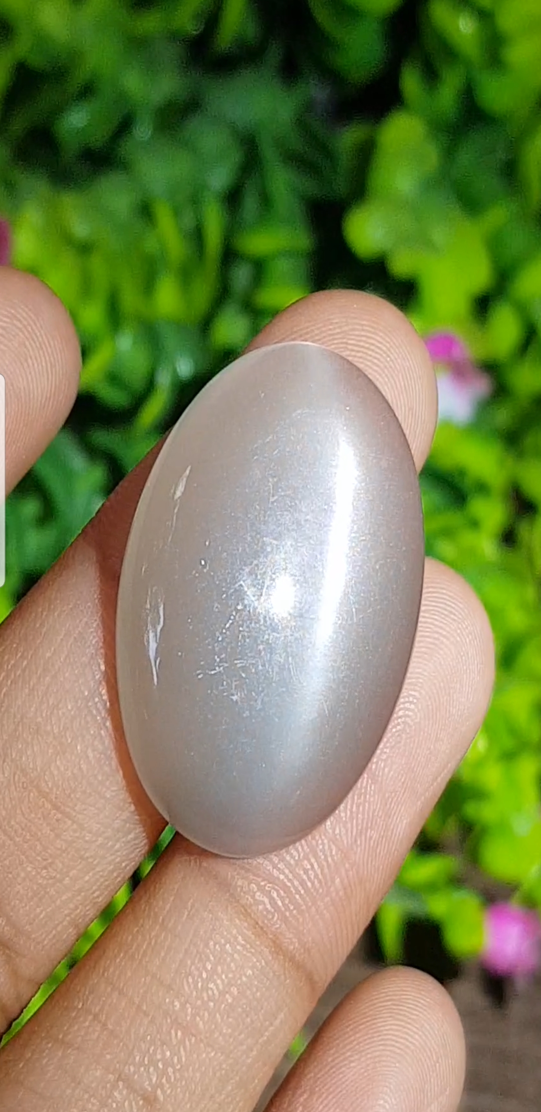 พลอย ตาแมว มูนสโตน Cat eye Moonstone 32.69 กะรัต (Cts.)พลอยแท้ อัญมณีมงคลประจําวันเกิด เครื่องประดับพลอย