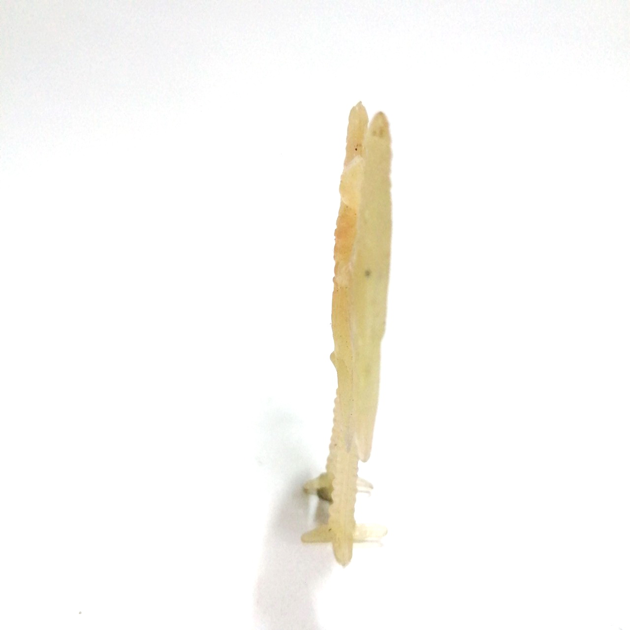 ตุ๊กตุ่น แอนท์ มนุษย์เหยี่ยว รุ่นแถมจากถุงถั่วรุ่นเก่า ราวปี 2518 สูงราว 2 นิ้ว สภาพดี สีชมพูอ่อนไม่หักไม่กาว