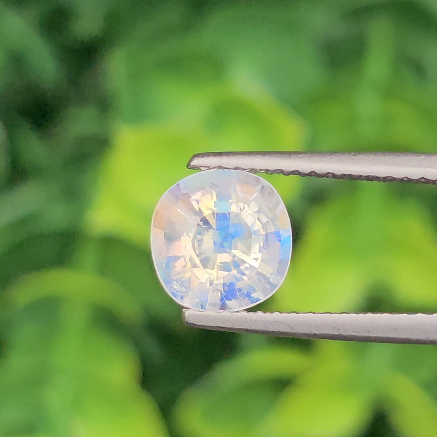 พลอย มูนสโตน เรนโบว์ rainbow moonstone 1.47 กะรัต (cts.) พลอยแท้ อัญมณีมงคลประจําวันเกิด เครื่องประดับพลอย