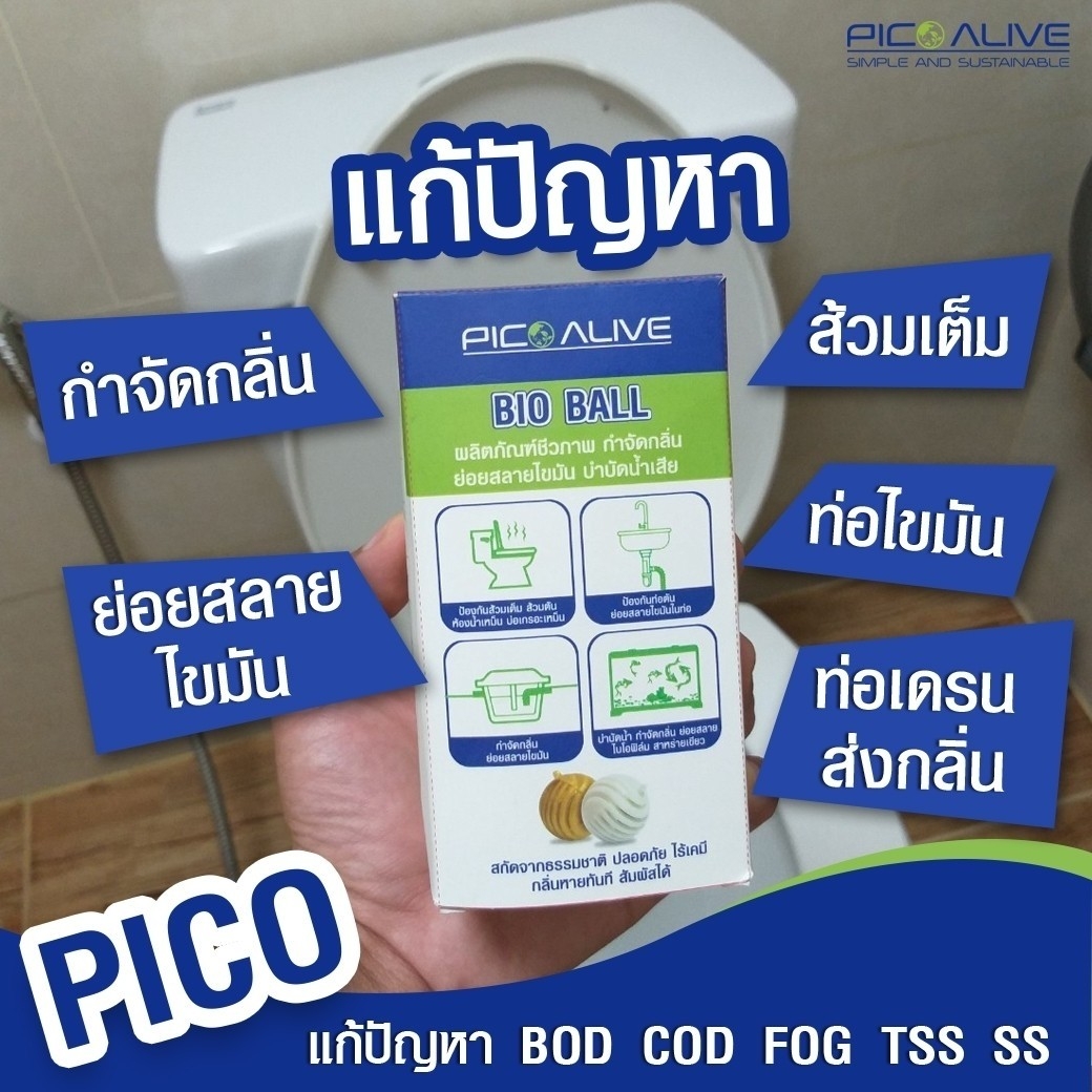 พิโกไบโอบอล Bio Ball 1 กล่อง 10 ลูก ไบโอบอล เทคโนโลยีชีวภาพ กำจัดกลิ่นเหม็น อเนกประสงค์ ( PICO BIO BALL)