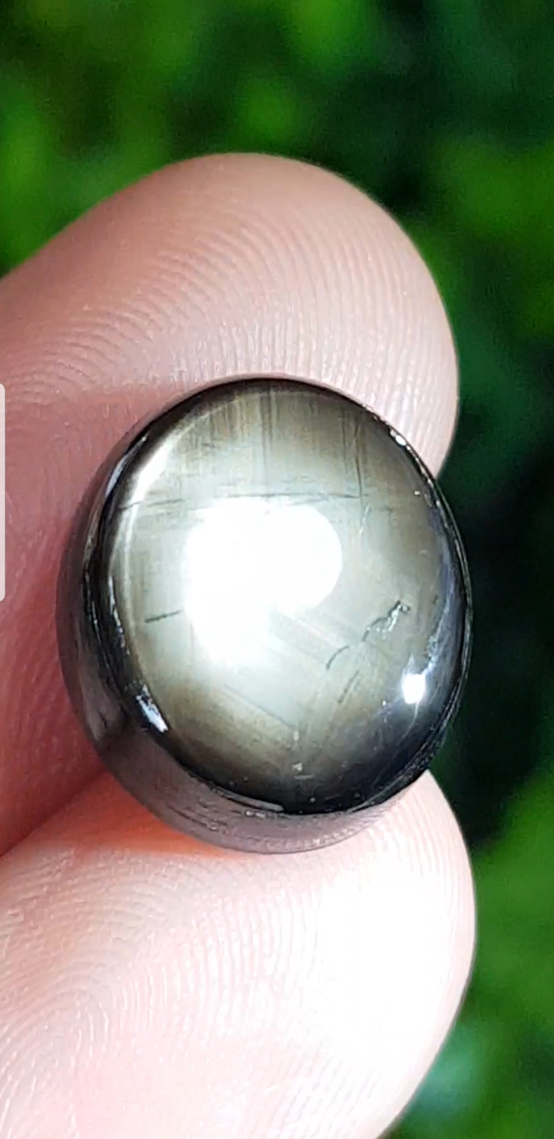 พลอย แบล็ค สตาร์ แซฟไฟร์ Black Star Sapphire 12.05 กะรัต (Cts.) ดิบ Unheated พร้อมใบเซอร์ พลอยแท้ อัญมณีมงคลประจําวันเกิด เครื่องประดับพลอย