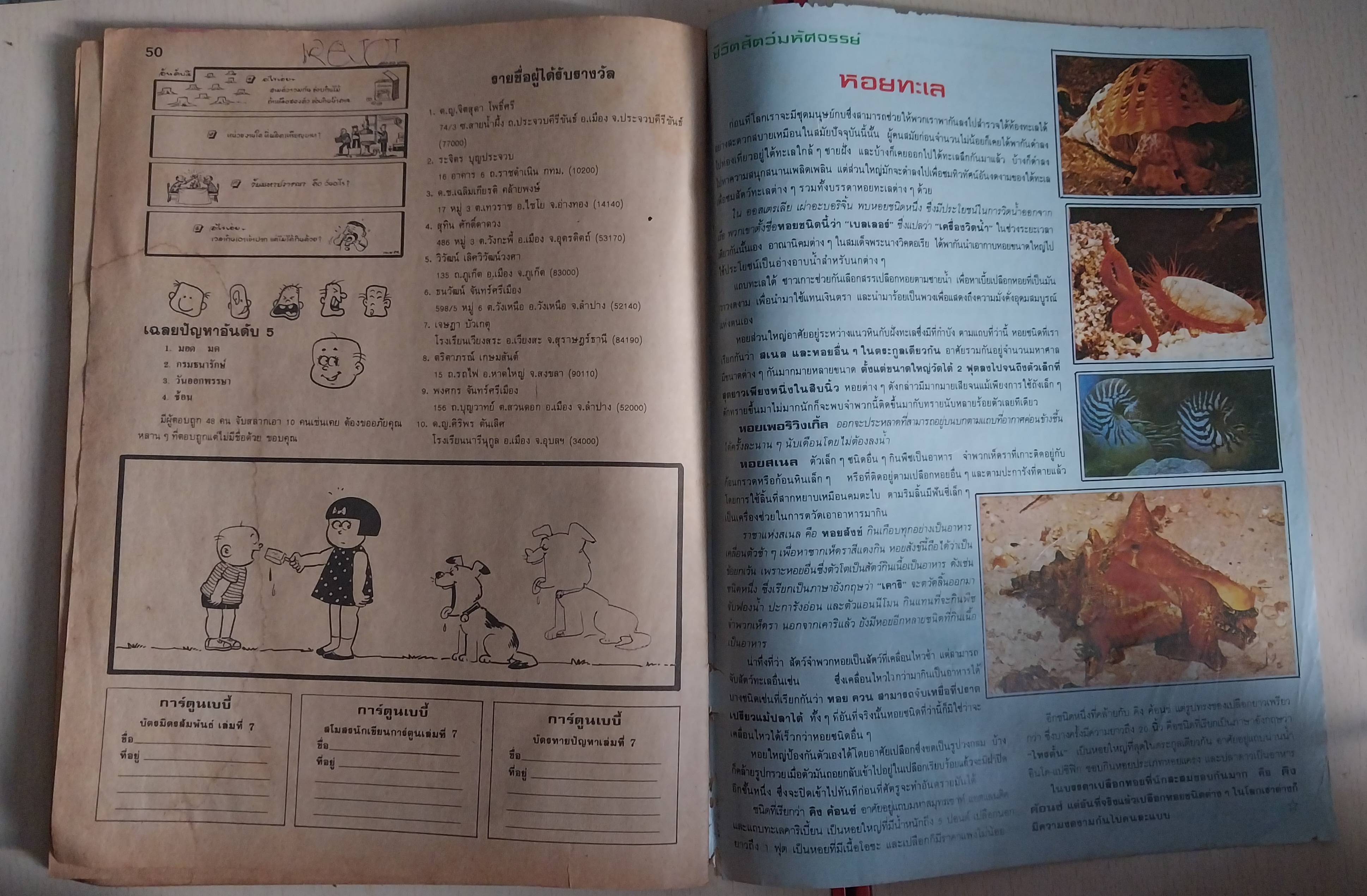 มีหลายภาพ หนังสือการ์ตูนเก่า เบบี้ โดย วัฒนา ราคาปก 6 บาท ปีที่ 11 ฉบับที่7 เดือนกรกฎาคม 2529 ** หนังสือเก่ามีตำหนิตามภาพ