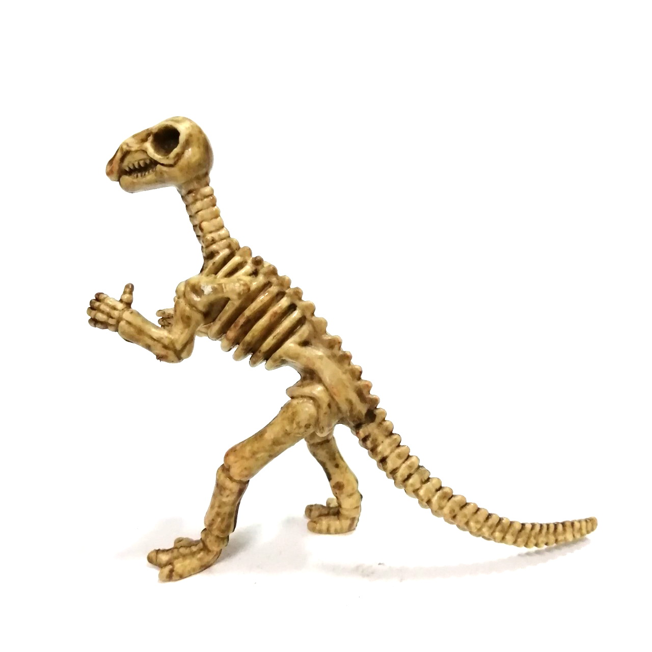 ตุ๊กตายางตัน โครงกระดูกไดโนเสาร์ ตัวทีเรกซ์ ขนาดตามรูป สภาพดี