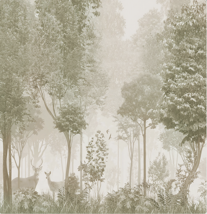 Wallpaper Digital Printing TR24016