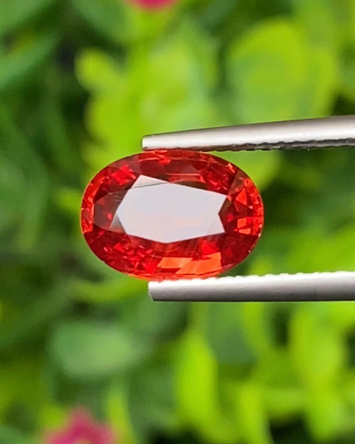 พลอย ทับทิม ซองเจีย Ruby Sapphire 2.66 กะรัต (Cts) พลอยแท้ อัญมณีมงคลประจําวันเกิด เครื่องประดับพลอย