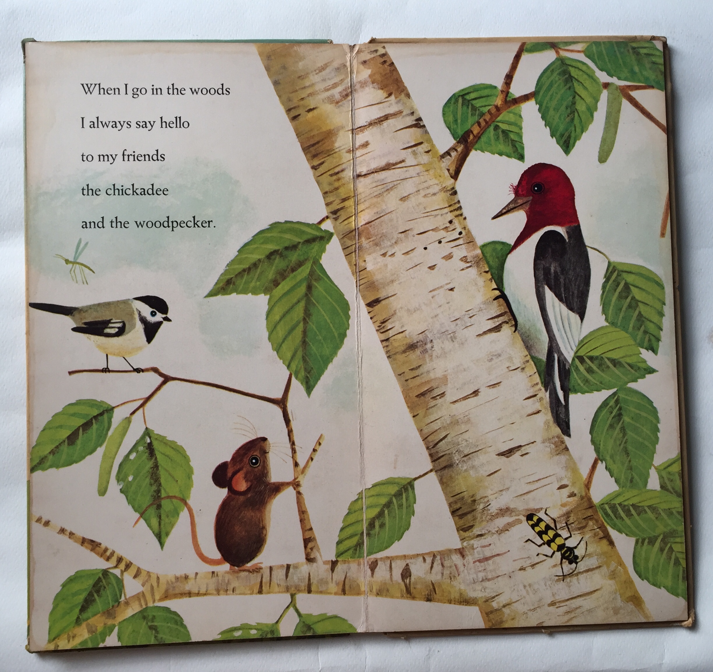 หนังสือนิทานเก่าภาพสวยปกแข็ง ปี 1964 ฉบับภาษาอังกฤษ "I am a Mouse", a golden sturdy happy book **มีตำหนิตามภาพ