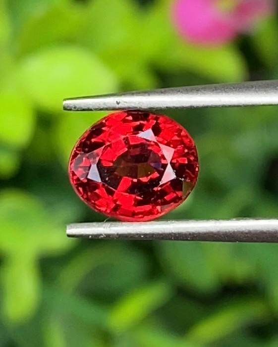 พลอย สเปสซาร์ไทต์ Spessartite Garnet 1.66 กะรัต Cts. พลอยแท้ อัญมณีมงคลประจําวันเกิด เครื่องประดับพลอย