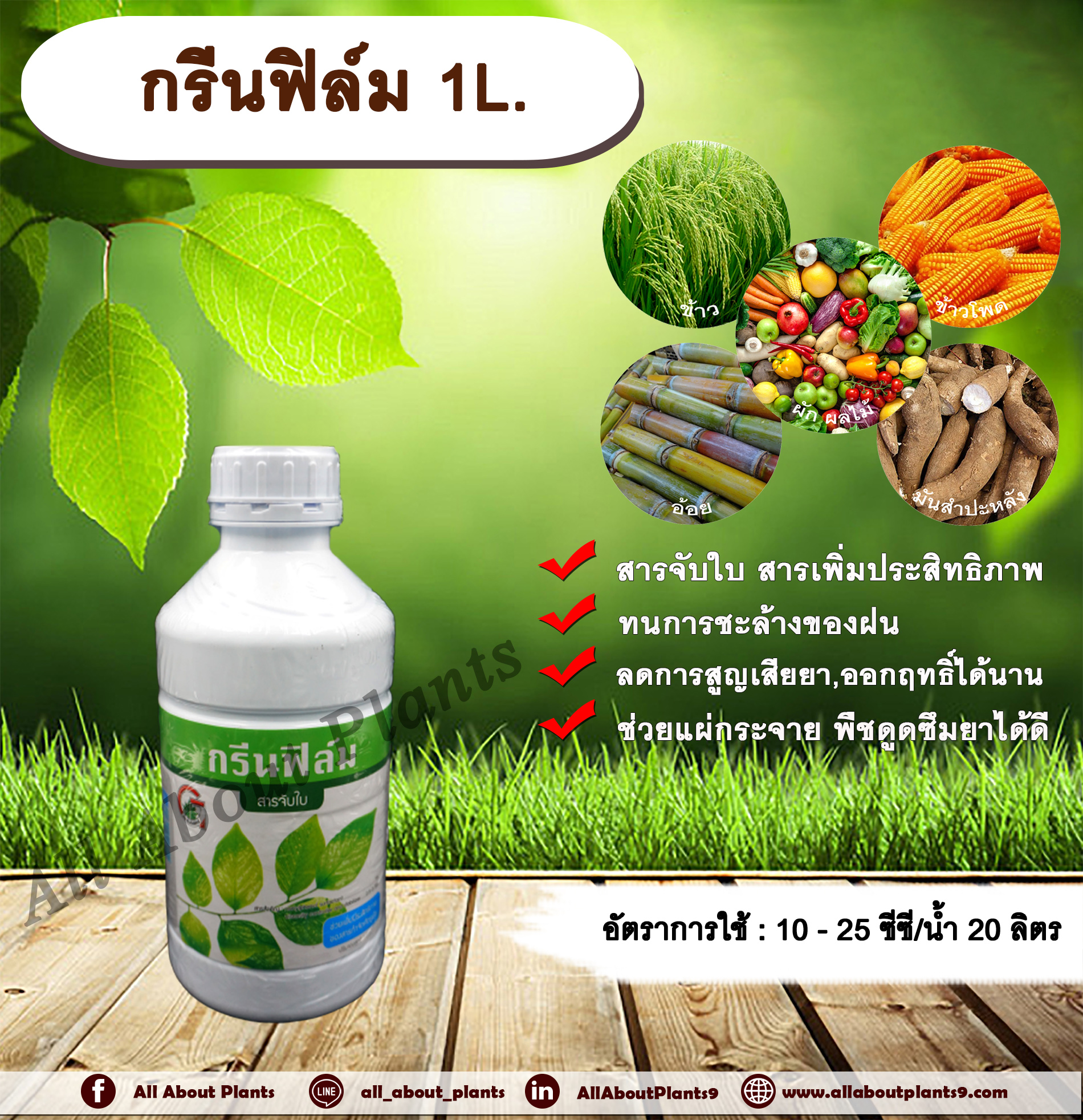 กรีนฟิล์ม 1L. สารจับใบ สารเคลือบใบ และเพิ่มประสิทธิภาพ allaboutplants ชิ้น