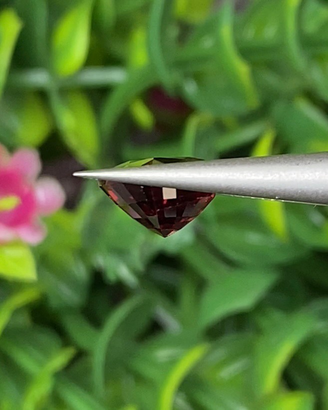 พลอย โรโดไลต์ กาเน็ท Rhodolite Garnet 2.67 กะรัต Cts.พลอยแท้ อัญมณีมงคลประจําวันเกิด เครื่องประดับพลอย