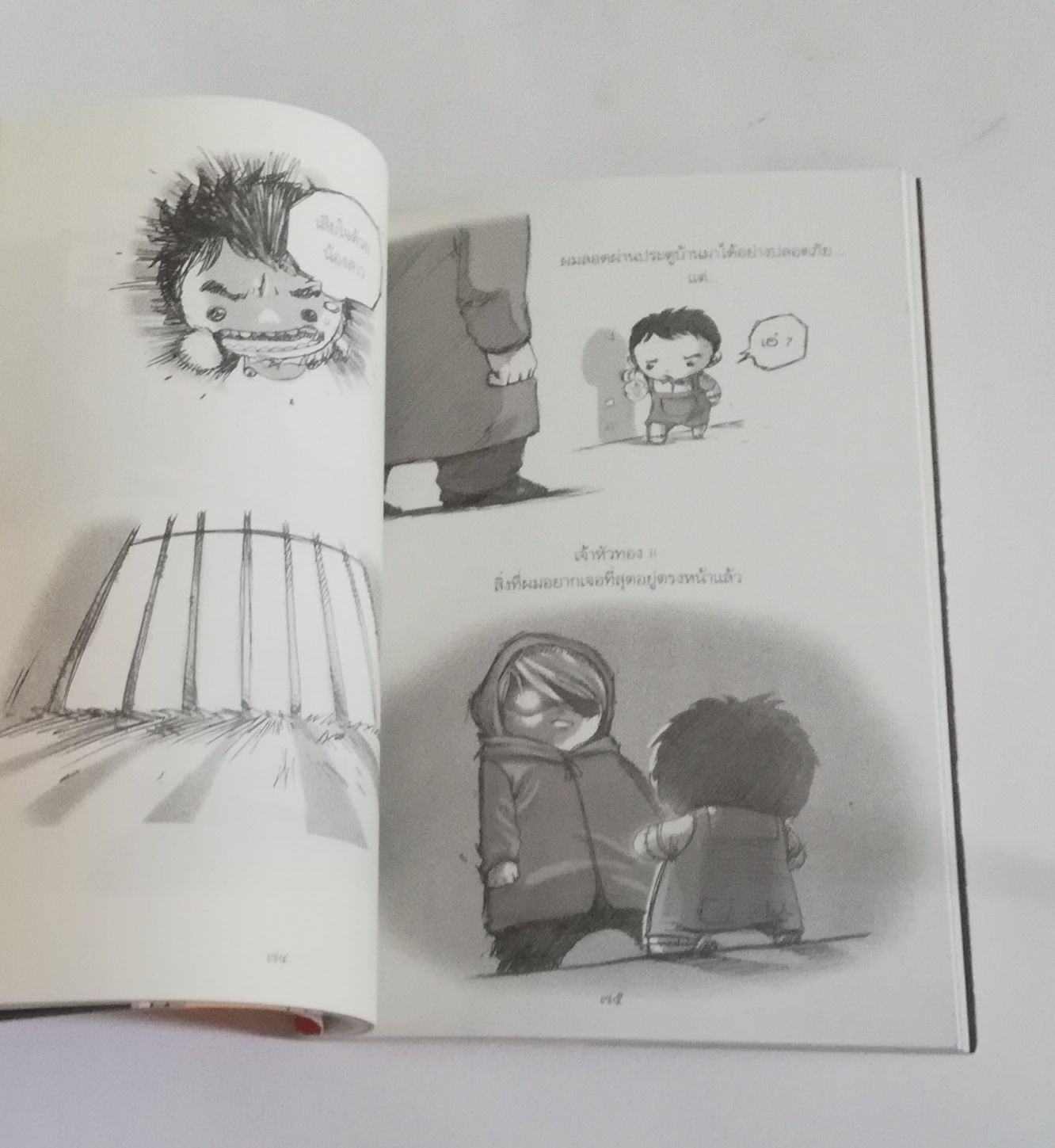 มีหลายภาพหนังสือปกมีตำหนิโปรดตรวจสอบทุกภาพ, หนังสือการ์ตูนจากเดอะดวง เด็กชายตุ๊กตา พิมพ์ครั้งที่ 3 กุมภาพันธ์ 2553 เรื่องและภาพโดยเดอะดวง