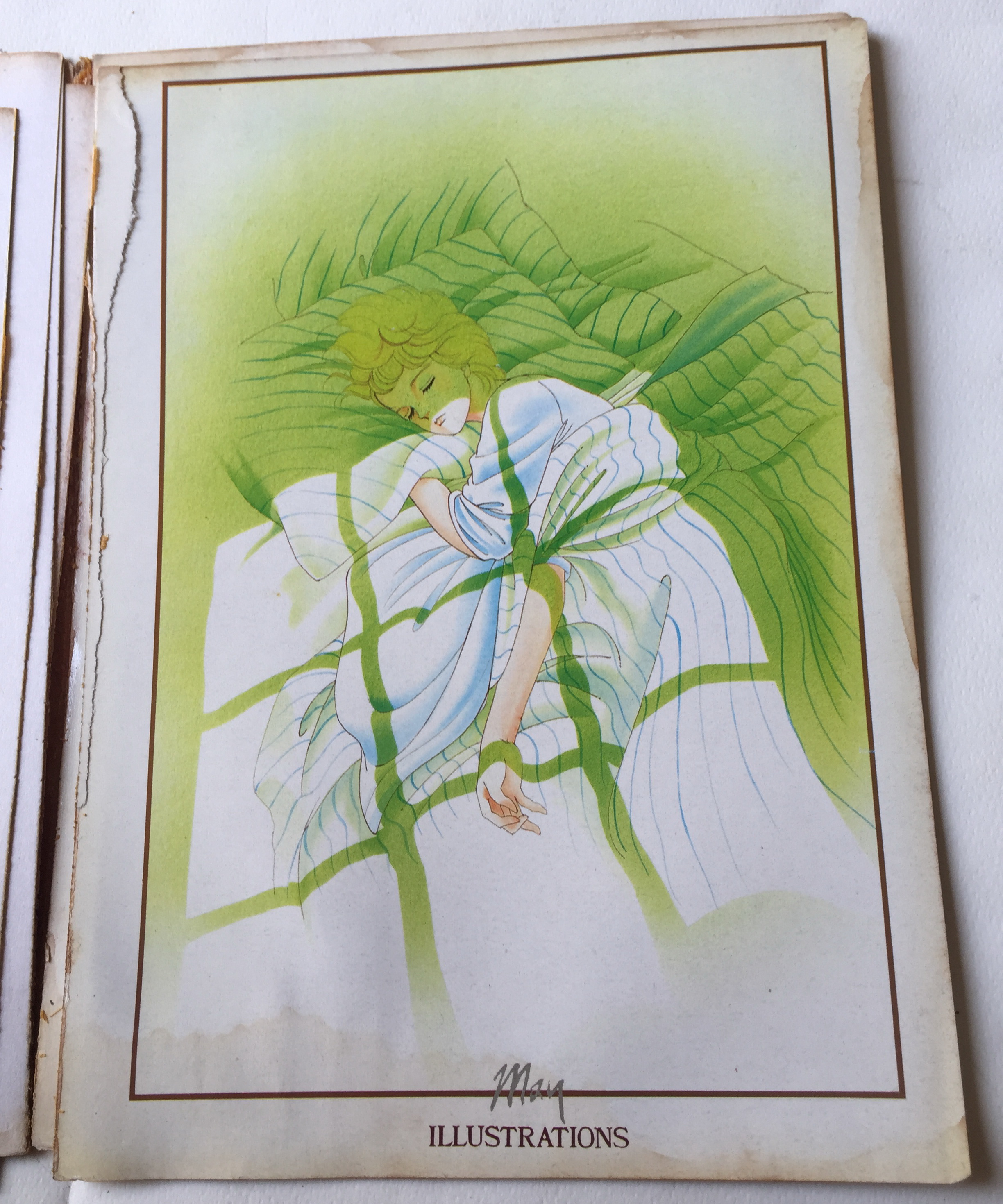 หนังสือภาพเก่า***หน้าไม่ครบ แต่ละแผ่นหลุดจากสัน มีรอย ตามภาพ May Illustrations ภาพการ์ตูนสวย ภาพสีทั้งเล่ม ลายเส้นจากคุณเมย์ ผลงานโดย May, Present โดย Main Point ชุดที่ 2 ปี 1987