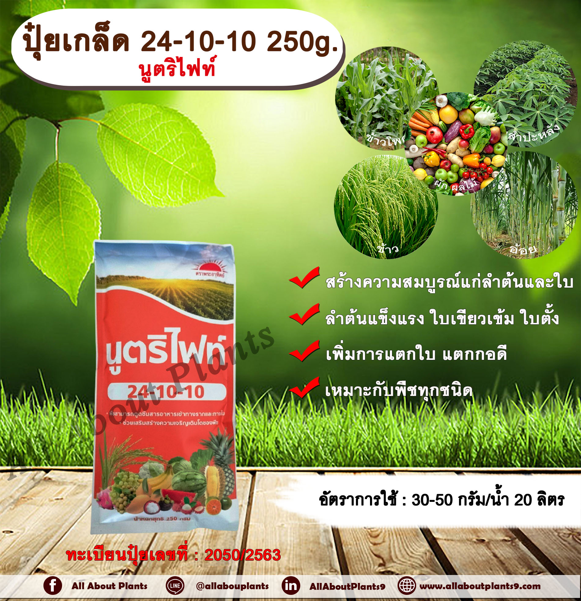 ปุ๋ยเกล็ด 24-10-10 250g. นูตริไฟท์ เร่งต้น เร่งใบ พืชเจริญเติบโต ต้นสมบูรณ์ ใบเขียวเข้ม ใบตั้ง แตกใบ ใบเขียว ต้นโต แตกกอ ถุง