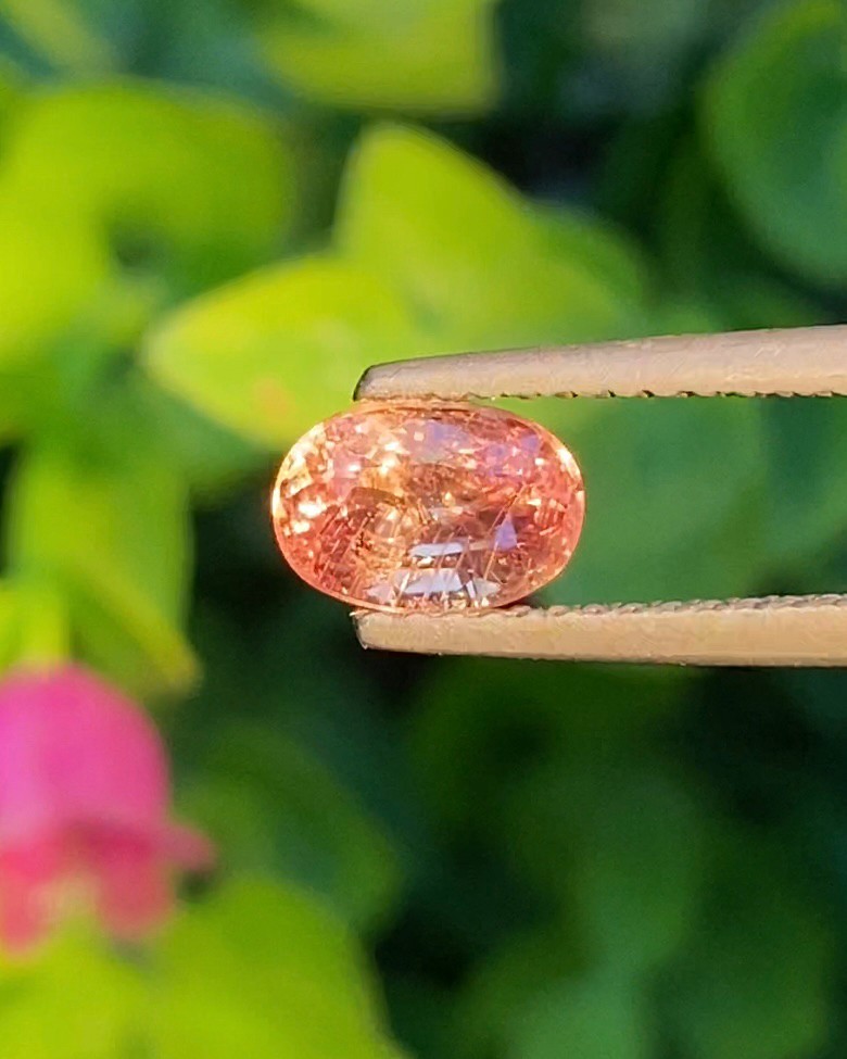 พลอย คัลเลอร์เชนจ์ แซฟไฟร์ Color Change Sapphire 1.19 กะรัต (Cts.) ดิบ พร้อมใบเซอร์ พลอยแท้ อัญมณีมงคลประจําวันเกิด เครื่องประดับพลอย