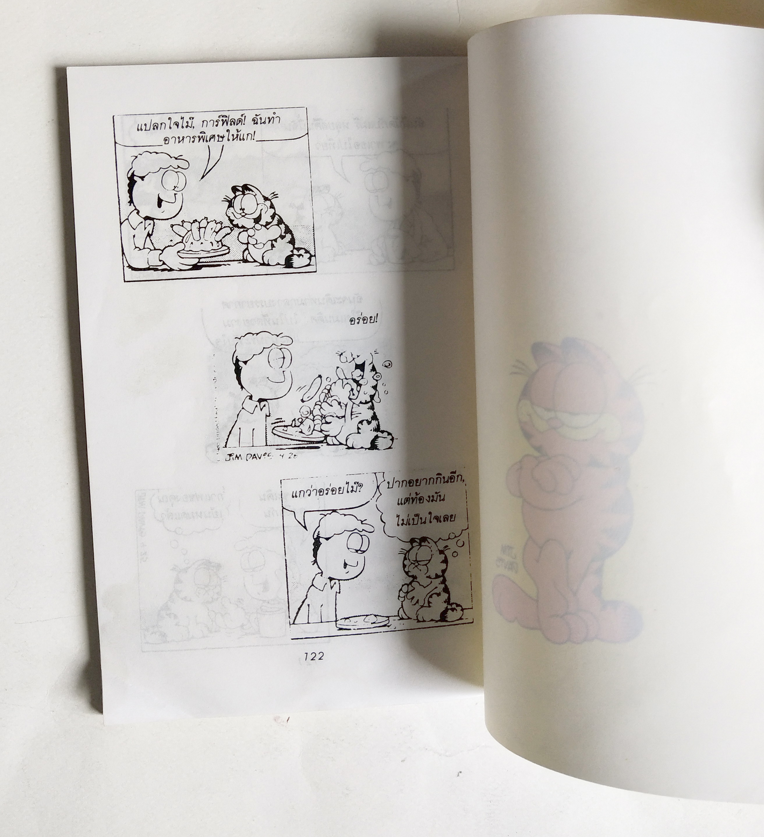 หนังสือการ์ตูน สำนักพิมพ์เรจีนา ,การ์ฟิลด์ Garfield เฮไหนเรานั้นเฮกัน โดย จิม เดวิส, ต๊อกแต๊ก แปลและเรียบเรียง พิมพ์รวมเล่ม กันยายน 2534