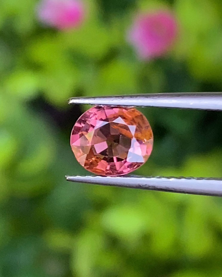 พลอย ชมพู พิ้ง แซฟไฟร์ Pink Sapphire 0.98 กะรัต (Cts.) พลอยแท้ อัญมณีมงคลประจําวันเกิด เครื่องประดับพลอย