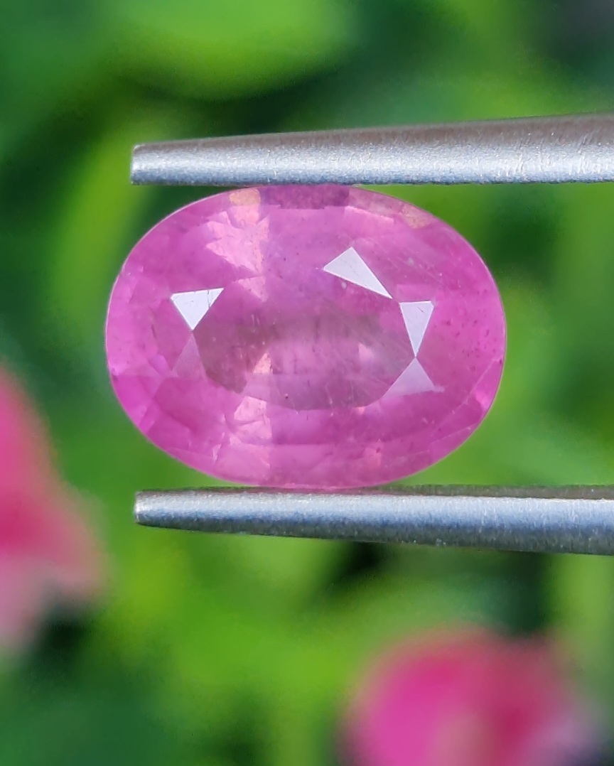 พลอย ชมพู พิ้ง แซฟไฟร์ Pink Sapphire 2.55 กะรัต (Cts.) พลอยแท้ อัญมณีมงคลประจําวันเกิด เครื่องประดับพลอย