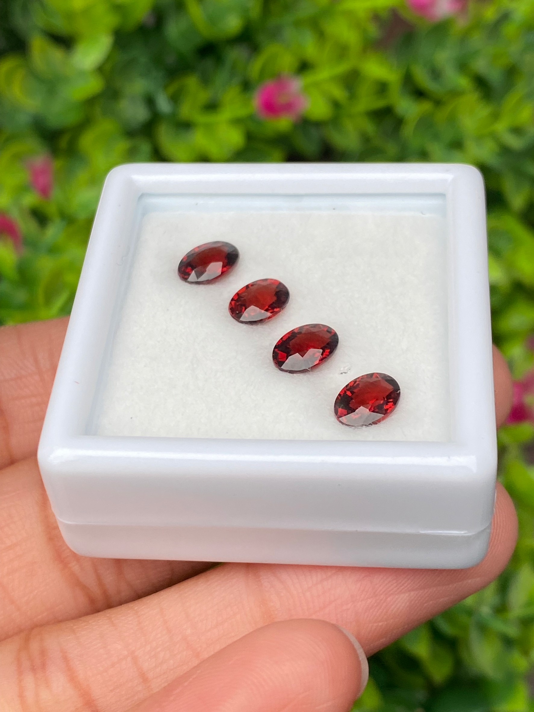พลอย โรโดไลต์ กาเน็ท Rhodolite Garnet 4.00 กะรัต Cts. 4 เม็ด Pcs. พลอยแท้ อัญมณีมงคลประจําวันเกิด เครื่องประดับพลอย
