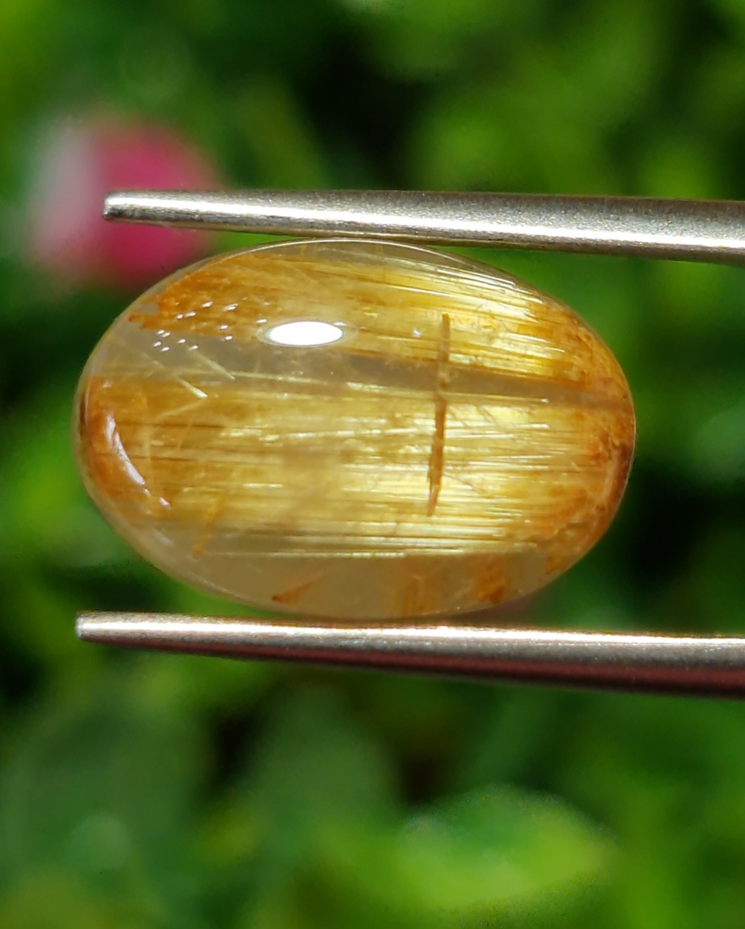 ตาแมว ไหมทอง ควอตซ์ Cat eye Golden Rutilated Quartz 6.98 กะรัต Cts.พลอยแท้ อัญมณีมงคลประจําวันเกิด เครื่องประดับพลอย