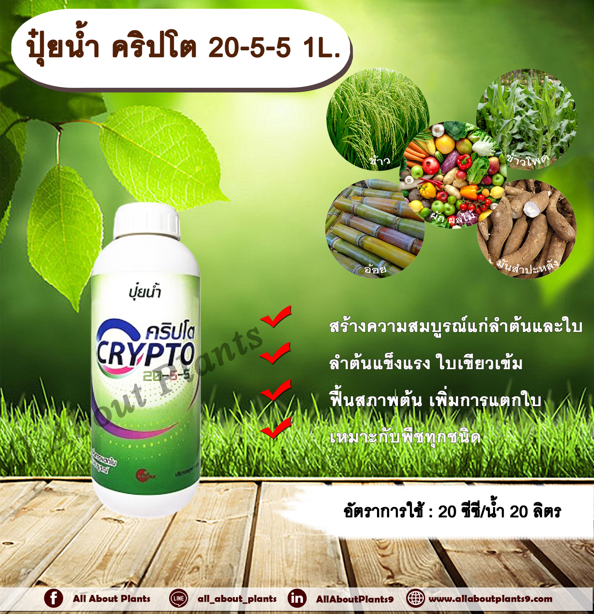 ปุ๋ยน้ำ คริปโต 20-5-5 1L. ปุ๋ยน้ำ เร่งต้น เร่งใบ พืชเจริญเติบโต ต้นสมบูรณ์ ใบเขียวเข้ม ฟื้นสภาพต้น แตกใบ ใบเขียว ต้นโต allaboutplants ชิ้น