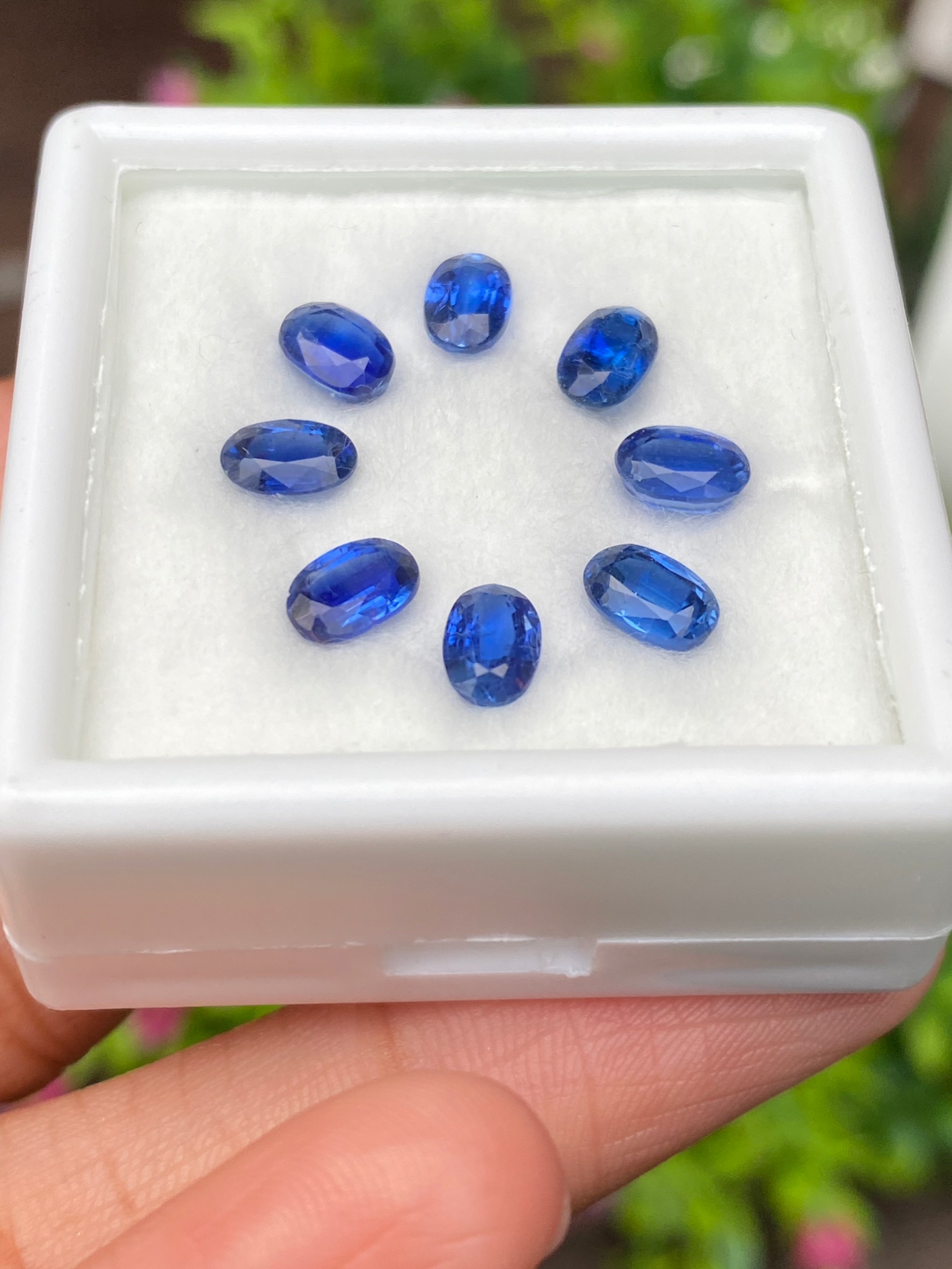 พลอย ไคยาไนต์ Kyanite 5.30 กะรัต (Cts.) 8 เม็ด พลอยแท้ อัญมณีมงคลประจําวันเกิด เครื่องประดับพลอย