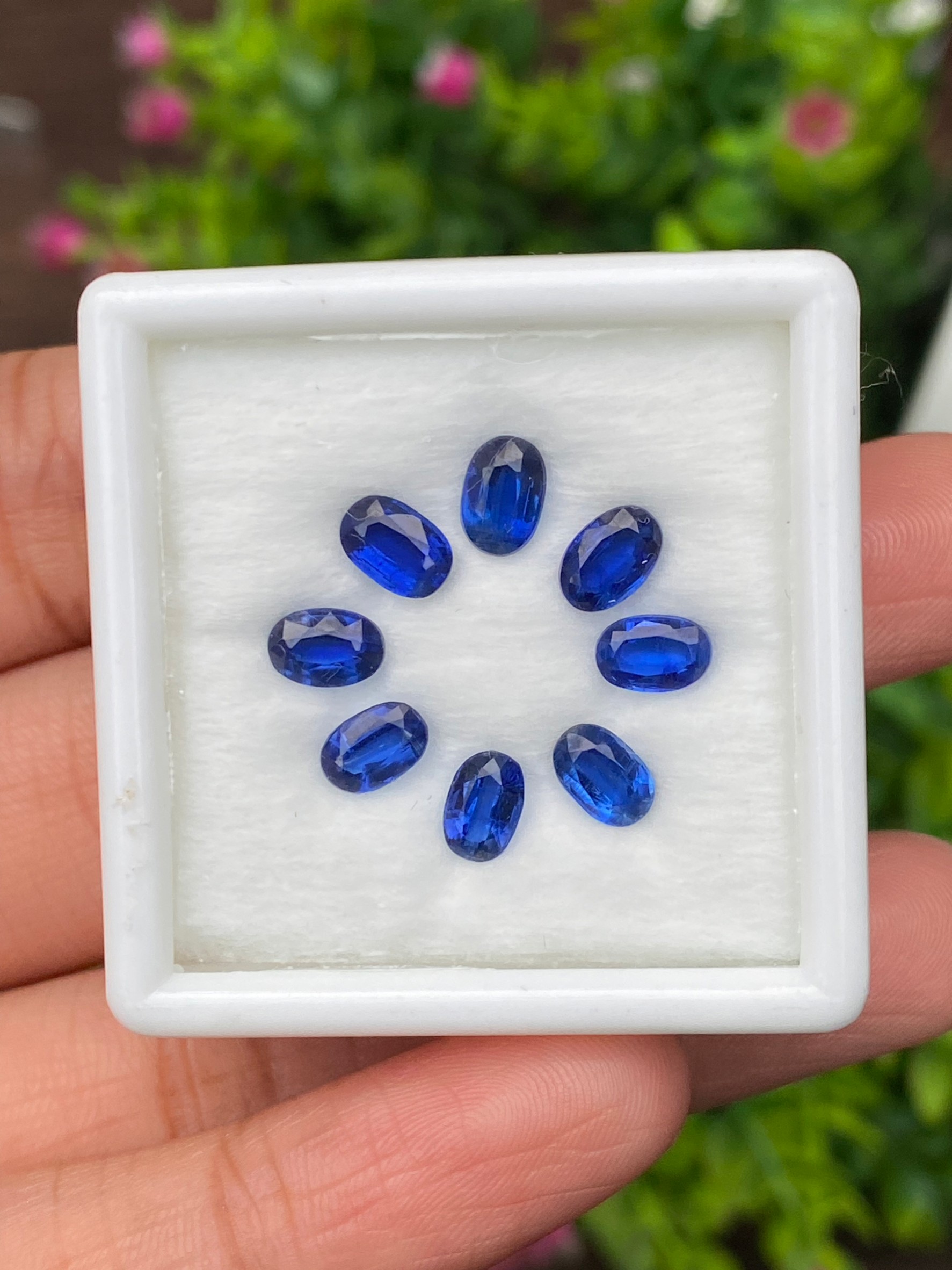 พลอย ไคยาไนต์ Kyanite 5.00 กะรัต (Cts.) 8 เม็ด พลอยแท้ อัญมณีมงคลประจําวันเกิด เครื่องประดับพลอย