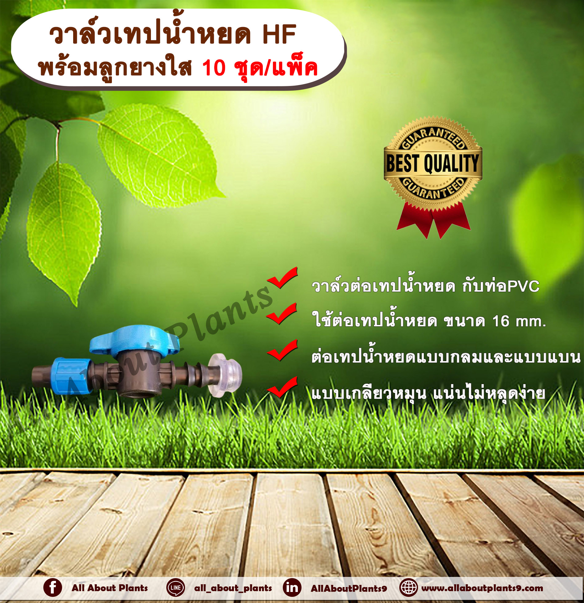 วาล์วเทปน้ำหยด HF พร้อมลูกยางใส 10 ชุด/แพ็ค วาล์วเทปน้ำหยด 16 มิล วาล์วปิดเปิด วาล์วปิดเปิดน้ำ วาล์วน้ำหยด ข้อต่อวาล์ว ข้อต่อเทปน้ำหยด ข้อต่อวาล์วเทปน้ำหยด ชิ้น