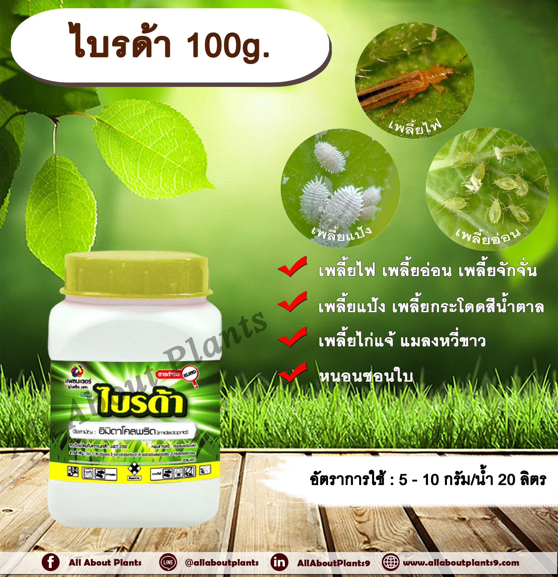 ไบรด้า100g. อิมิดาโคลพริด ดูดซึม สารกำจัดเพลี้ย สารกำจัดแมลง สารกำจัดหนอน เพลี้ยไฟ เพลี้ยอ่อน เพลี้ยจักจั่น เพลี้ยแป้ง เพลี้ยกระโดดสีน้ำตาล เพลี้ยไก่แจ้ หนอนชอนใบ แมลงหวี่ขาว มวน แมลงสิง allaoutplants ชิ้น