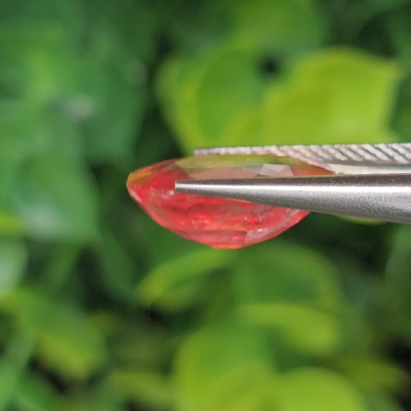 พลอย ออเรนจ์ แซฟไฟร์ Orange Sapphire 6.29 กะรัต (Cts.) พลอยแท้ อัญมณีมงคลประจําวันเกิด เครื่องประดับพลอย