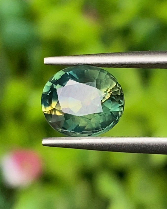 พลอย แซฟไฟร์ 2 สี Bi-Color Sapphire 2.32 กะรัต (Cts.) พลอยแท้ อัญมณีมงคลประจําวันเกิด เครื่องประดับพลอย