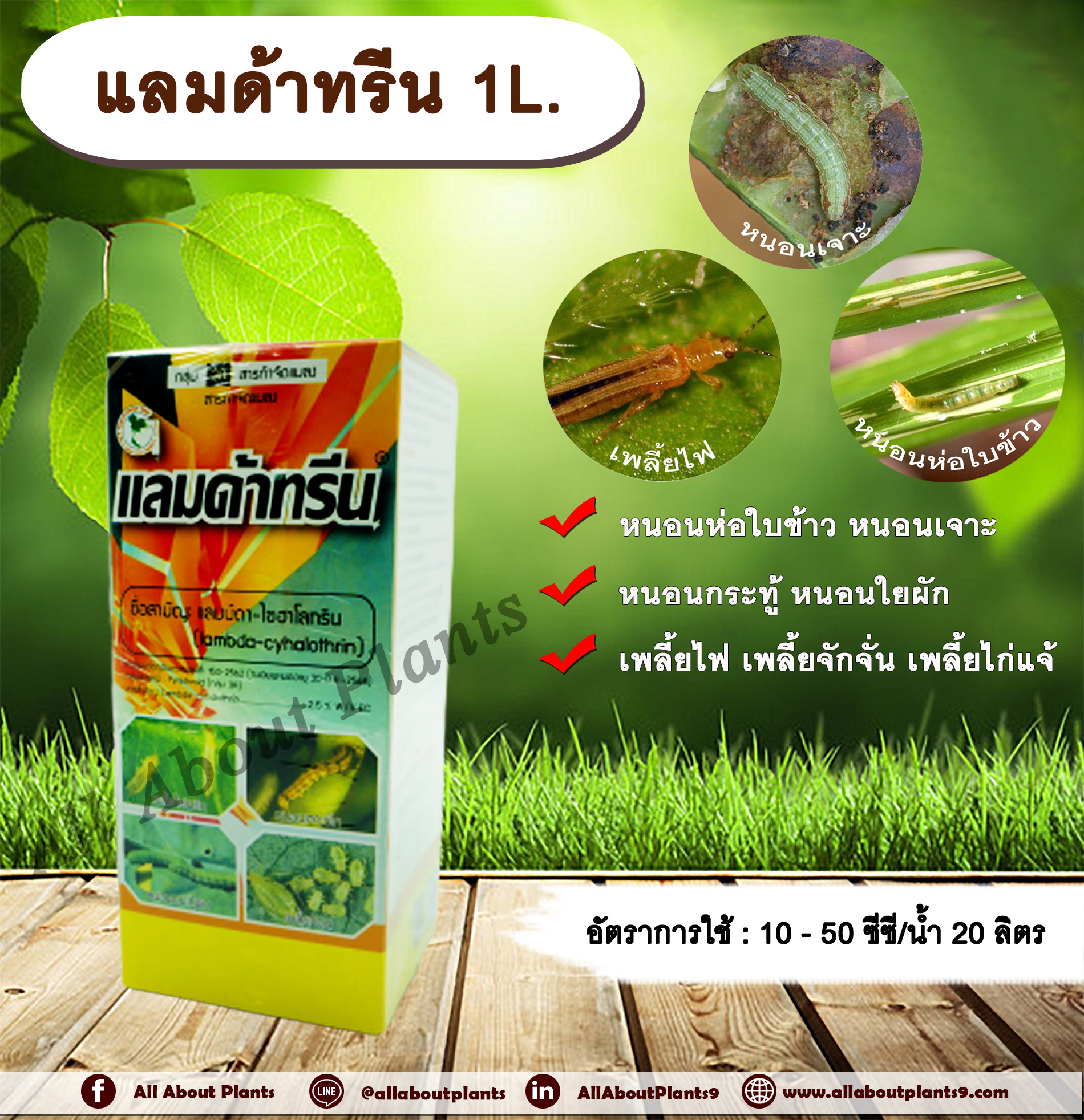แลมด้าทรีน 1L. แลมบ์ดาไซฮาโลทริน สารกำจัดแมลง กำจัดหนอน หนอนห่อใบข้าว หนอนเจาะ กำจัดเพลี้ย น็อคเย็น allaboutplants ชิ้น