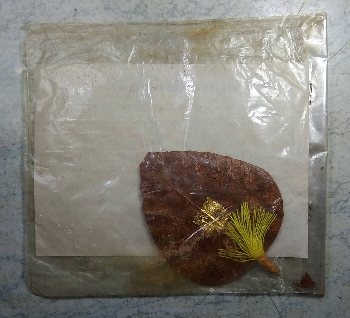 ร028 ใบโพธิ์ ต้นพระศรีมหาโพธิ์ วัดพระธาตุพนม จ.นครพนม