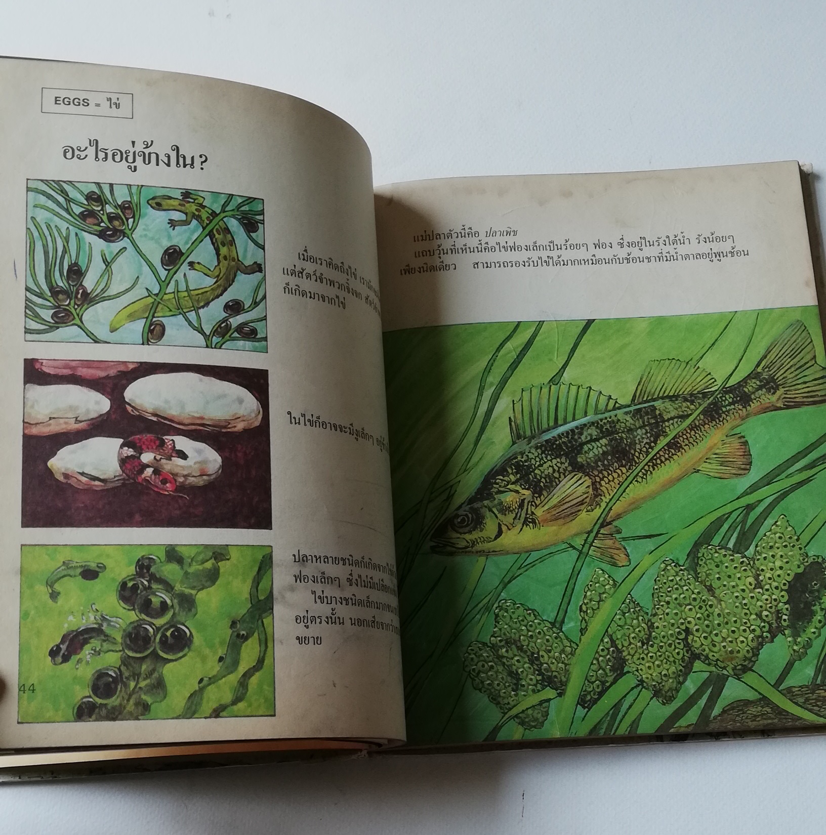 มีหลายภาพ หนังสือภาพการ์ตูนเก่า ปกแข็ง เล่มหนา จาก บริทานิกา เรื่อง สารานุกรมสำหรับเด็ก เล่มที่ 5