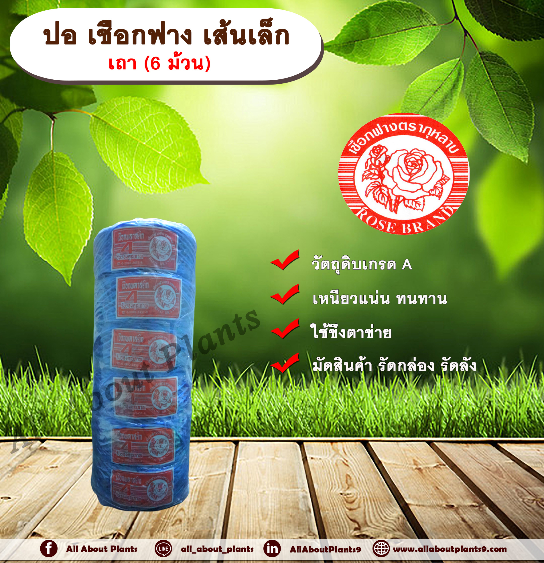 ปอ เชือกฟาง เส้นเล็ก ตรากุหลาบ (เถา) เชือกฟางเส้นเล็ก ขึงตาข่ายแตงกวา มัดสินค้า รัดกล่อง รัดลัง allaboutplants ชิ้น