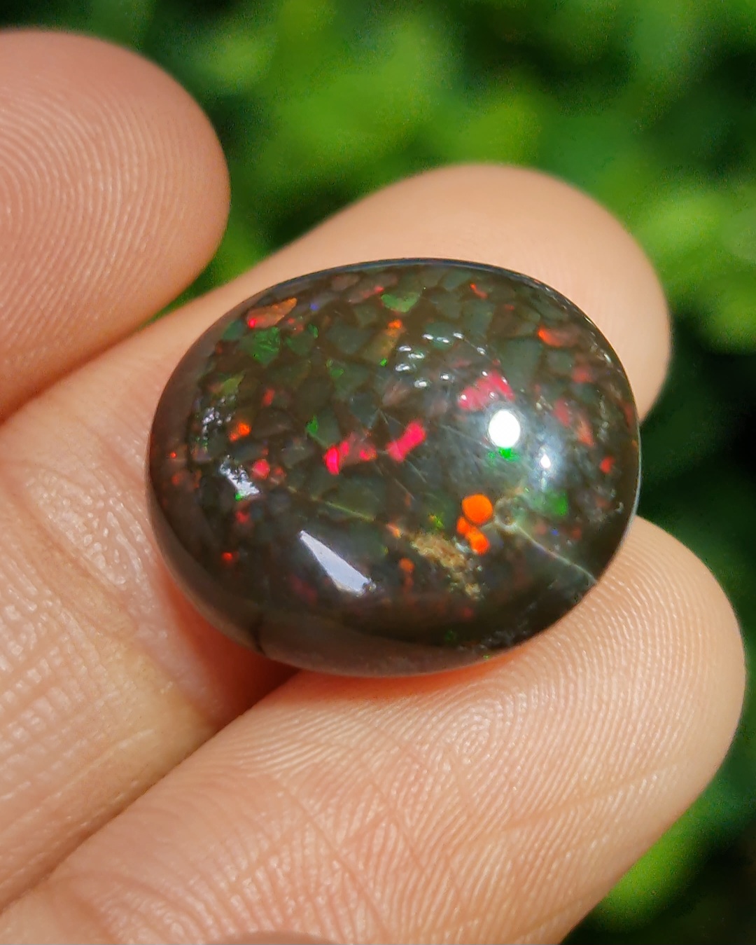 พลอย แบล็ก โอปอล Black Opal 15.76 กะรัต (Cts.) ดิบ (Unheated) พลอยแท้ อัญมณีมงคลประจําวันเกิด เครื่องประดับพลอย