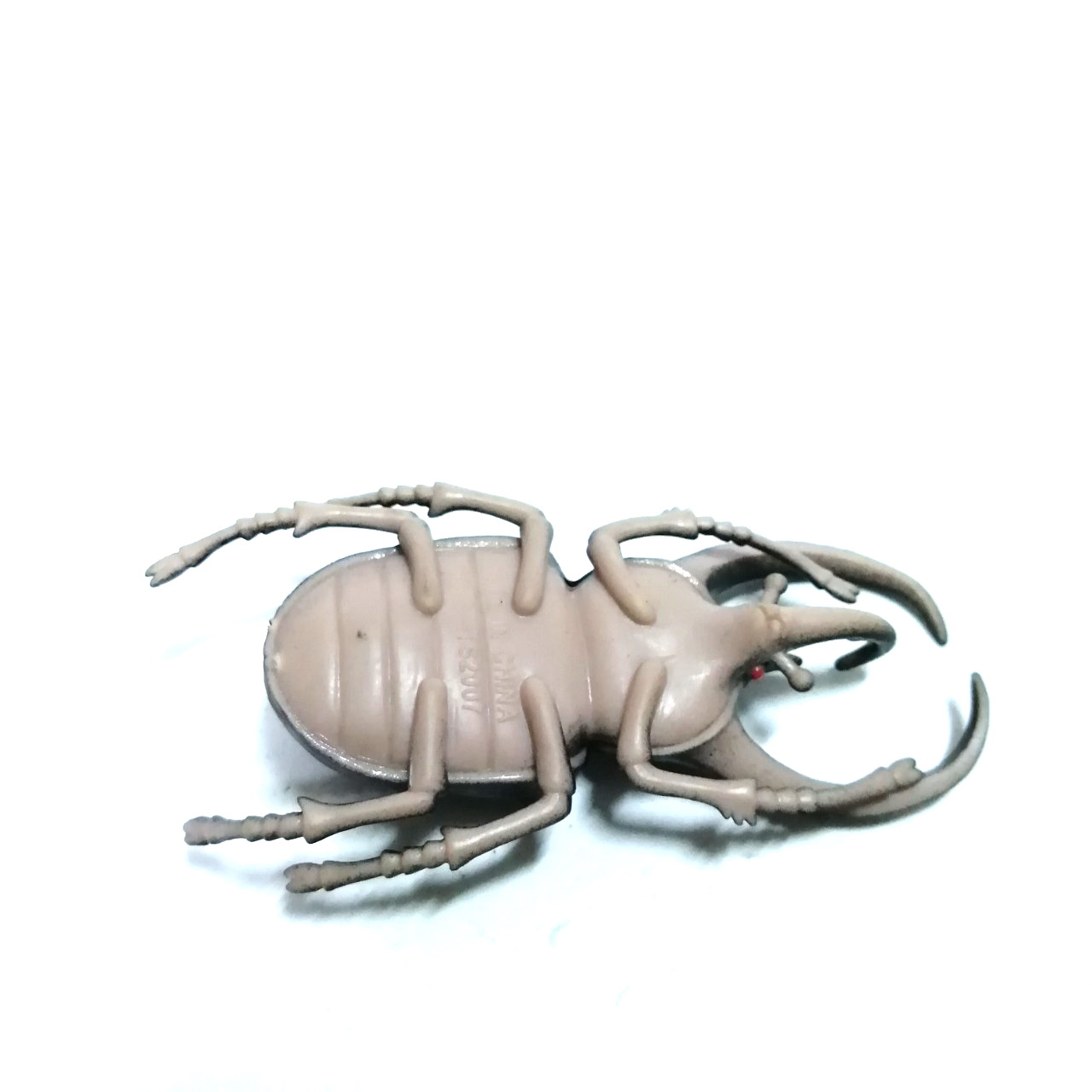 ชุดแมลงยางตัน ด้วงสามเขา ขนาดตามรูป สภาพดี