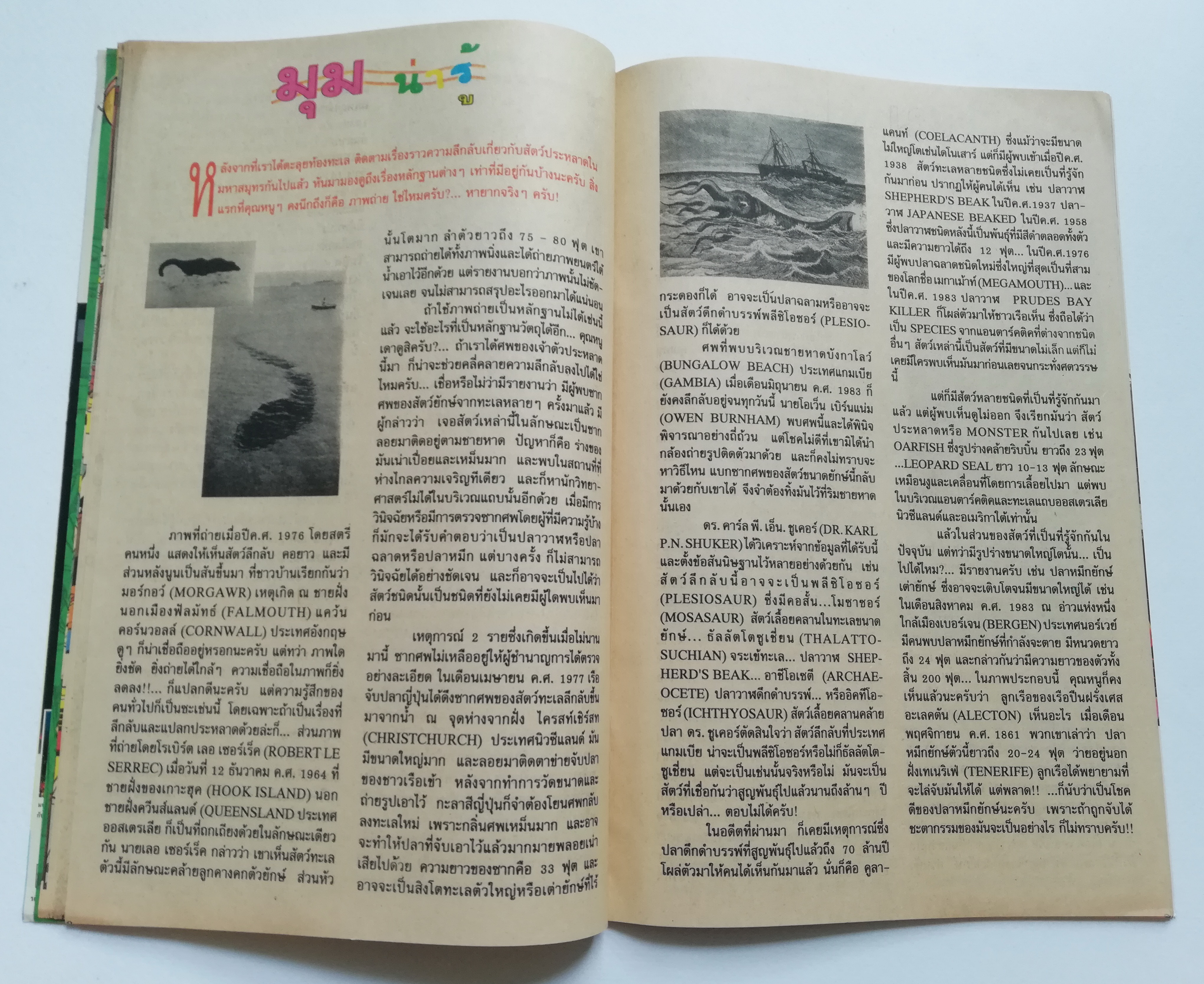 เดอะเนชั่น คอมิกส์ หนังสือการ์ตูนจาก Walt Disney's Goofy Adventure กู๊ฟฟี่ผจญภัย ฉบับที่ 109 การ์ตูนภาษาไทย-อังกฤษ ตอน เสาทองคำศักดิ์สิทธิ์,ควบคุมระยะไกล,ซูเปอร์ถั่วอยู่ไหน