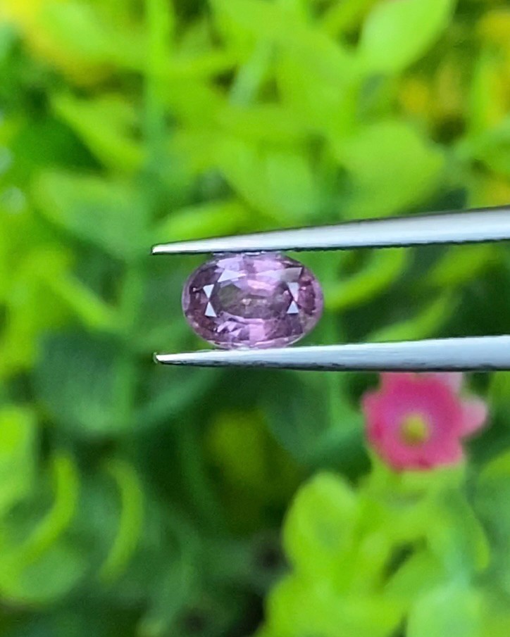 พลอย เพอเพิล แซฟไฟร์ สีม่วง Purple Sapphire ดิบ Unheated 0.80 กะรัต (Cts.) พลอยแท้ อัญมณีมงคลประจําวันเกิด เครื่องประดับพลอย