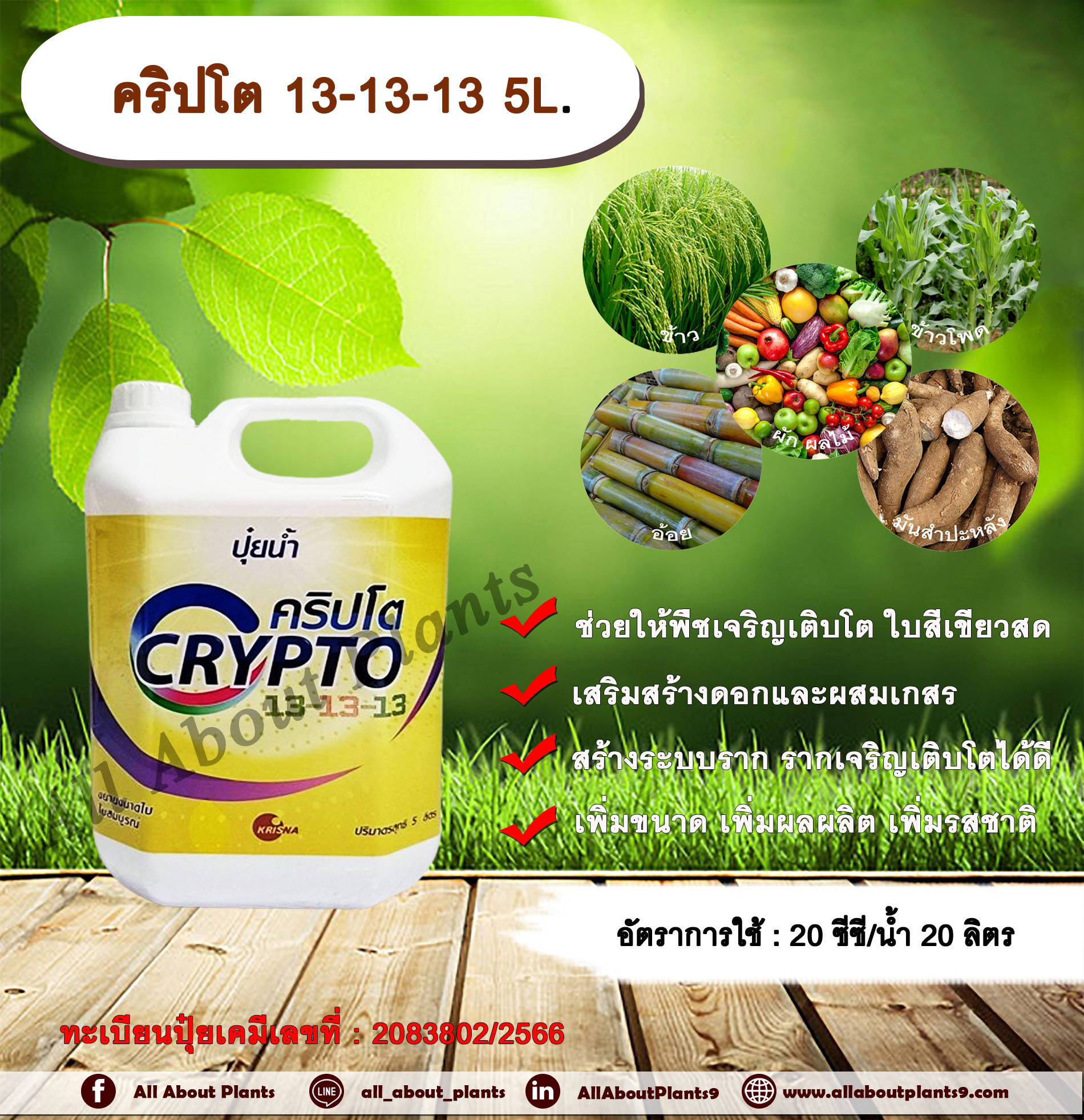 คริปโต 13-13-13 5L. ช่วยให้พืชเจริญเติบโต ใบสีเขียวสด เสริมสร้างดอก ผสมเกสร สร้างระบบราก รากเจริญเติบโต เพิ่มขนาด เพิ่มผล กระติก
