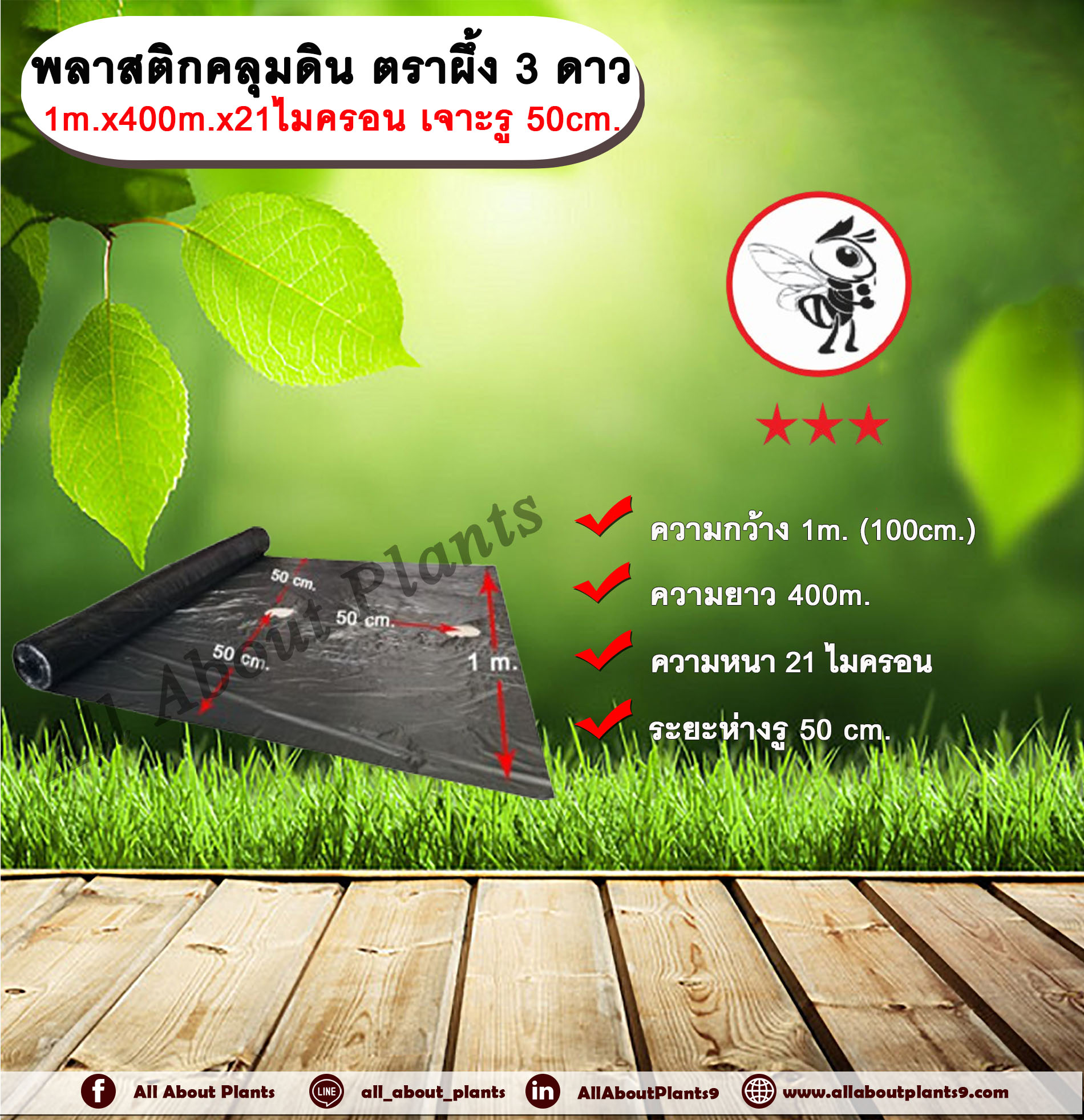 พลาสติกคลุมดิน ตราผึ้ง กว้าง 1 เมตร ยาว 400 เมตร หนา 21 ไมครอน เจาะรู 50 เซนติเมตร พลาสติกคลุมแปลง ผ้าคลุมดิน ผ้าคลุมแปลง คลุมแปลงเกษตร คลุมแปลงเพาะปลูก allaboutplants ชิ้น