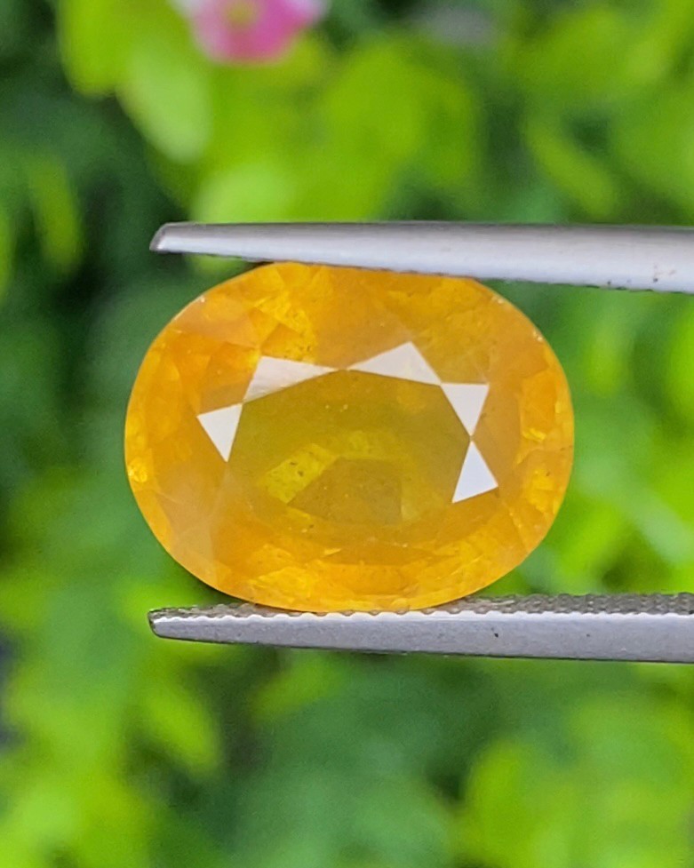 พลอย บุษราคัม เผาใหม่ yellow sapphire 11.82 กะรัต (Cts.) พลอยแท้ อัญมณีมงคลประจําวันเกิด เครื่องประดับพลอย