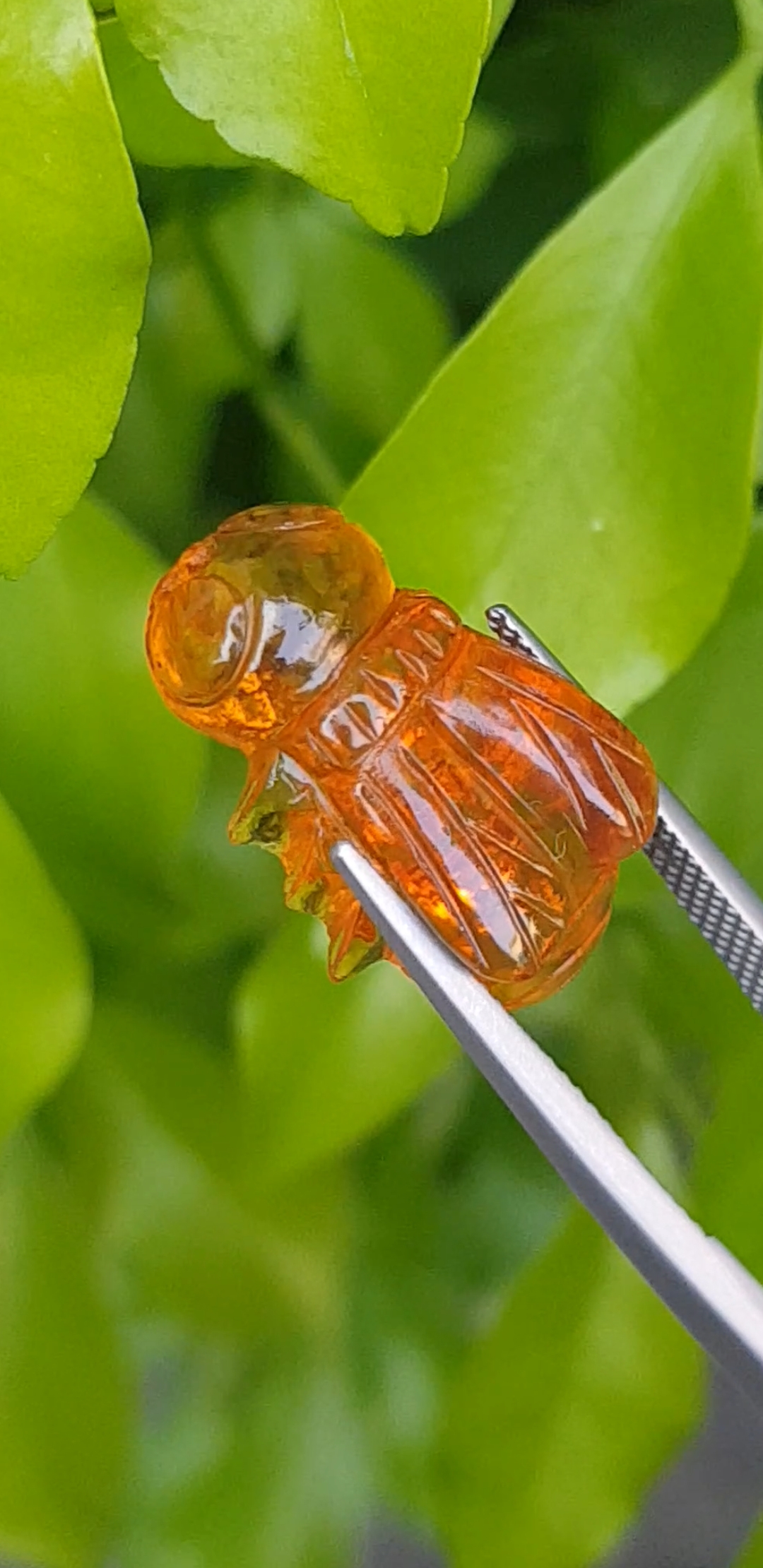 อำพัน แกะสลัก พญาตัวต่อ Wasp Natural Amber พลอยแท้ อัญมณีมงคลประจําวันเกิด เครื่องประดับพลอย