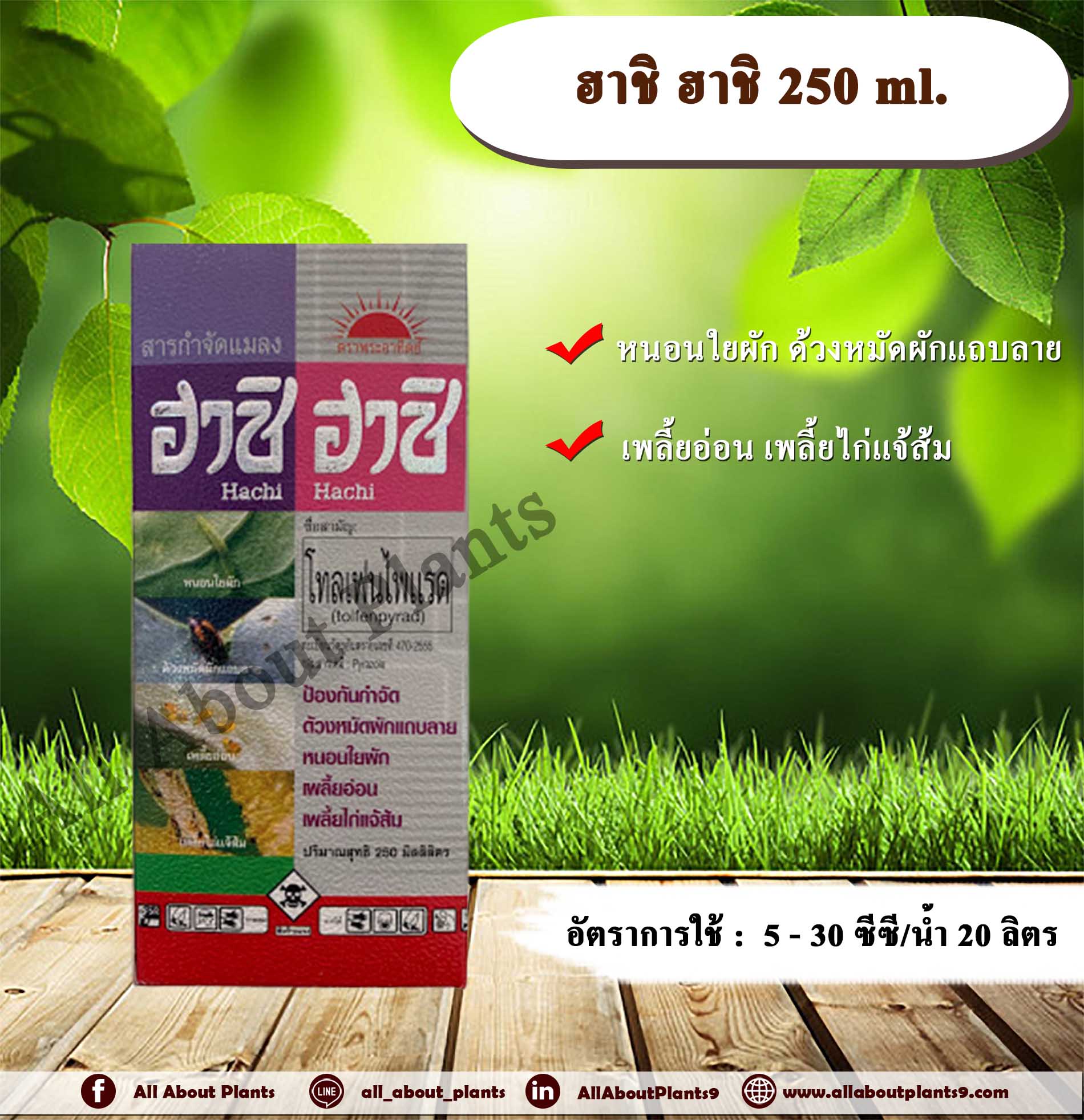 ฮาชิ ฮาชิ 250ml. โทลเฟนไพแรด สารกำจัดแมลง เพลี้ยไฟ เพลี้ยอ่อน เพลี้ยไก่แจ้ส้ม หนอนใยผัก ด้วงหมัดผักแถบลาย ทีเจซี allaboutplnats ชิ้น