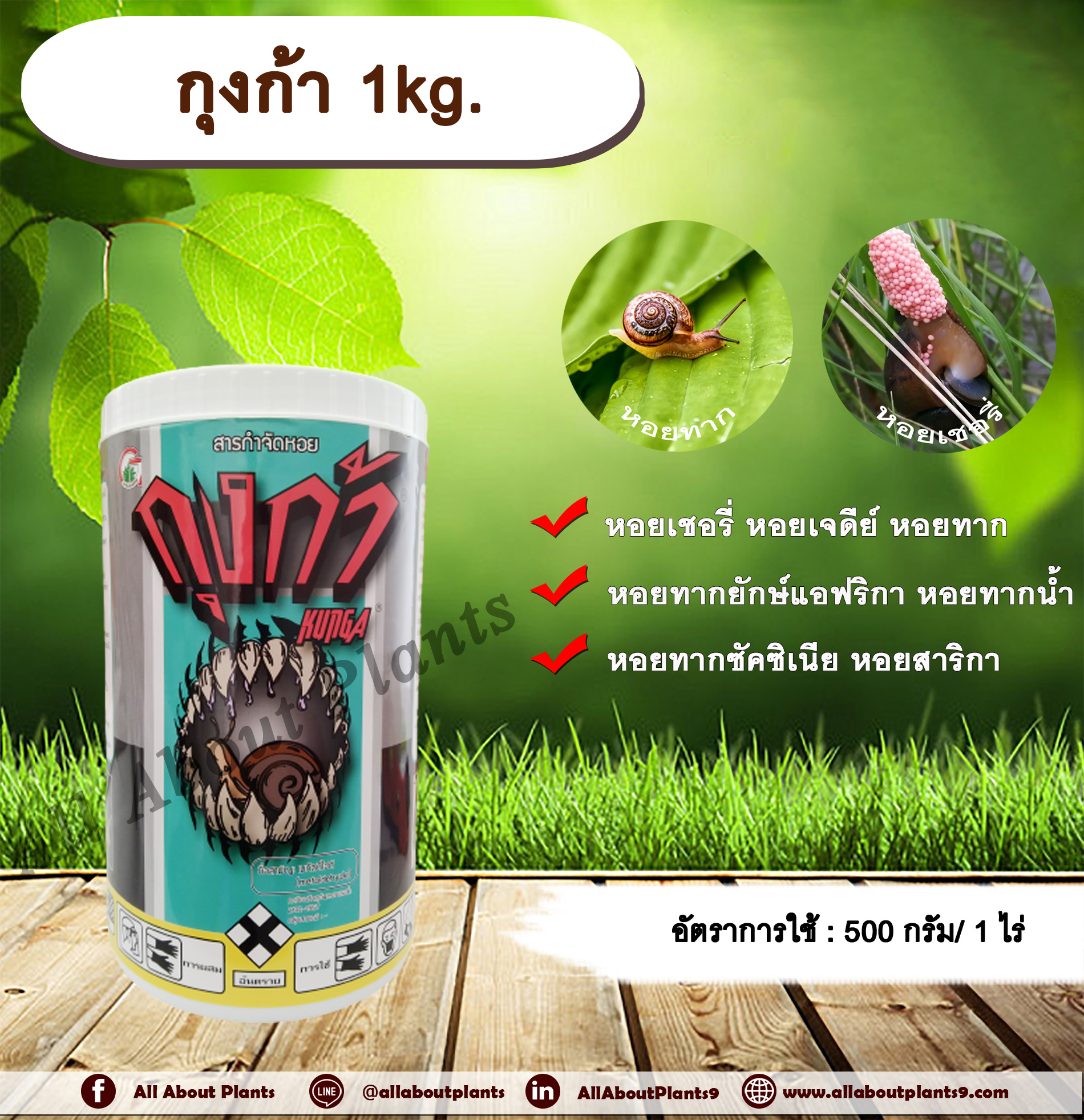 กุงก้า 1kg. เมทัลดีไฮด์ สารกำจัดหอย เบื่อหอย เบือหอย หอยเชอรี่ หอยทาก หอยเจดีย์ หอยศัตรูพืช หว่านกำจัดหอย allaboutplants ชิ้น