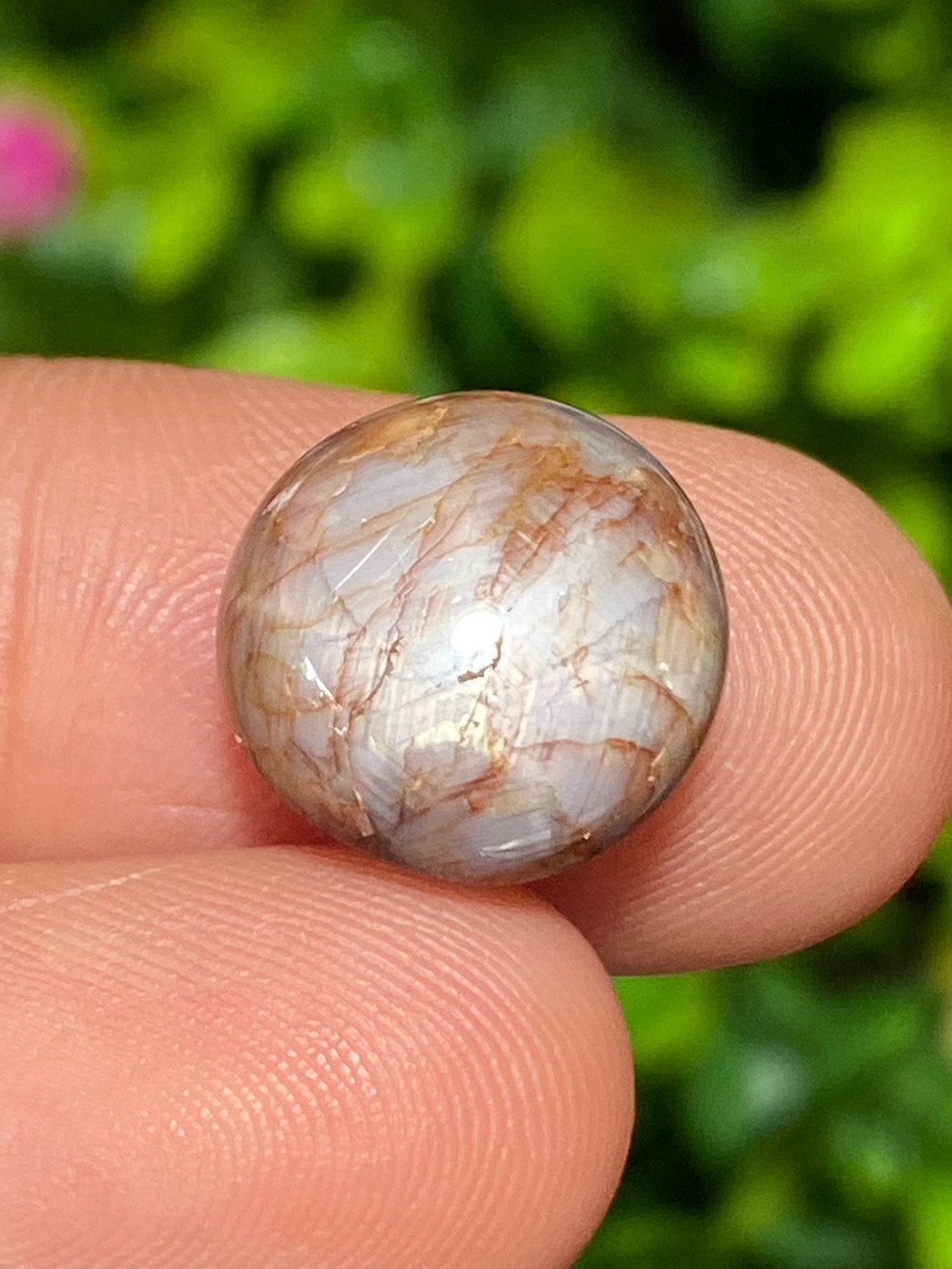 พลอย แซฟไฟร์ พม่า Burmese Sapphire