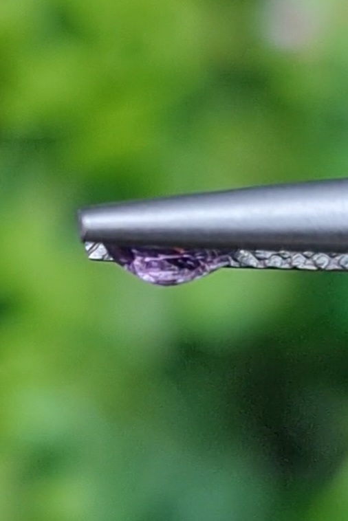 พลอย เพอเพิล แซฟไฟร์ สีม่วง Purple Sapphire ดิบ Unheated 0.45 กะรัต (Cts.) พลอยแท้ อัญมณีมงคลประจําวันเกิด เครื่องประดับพลอย