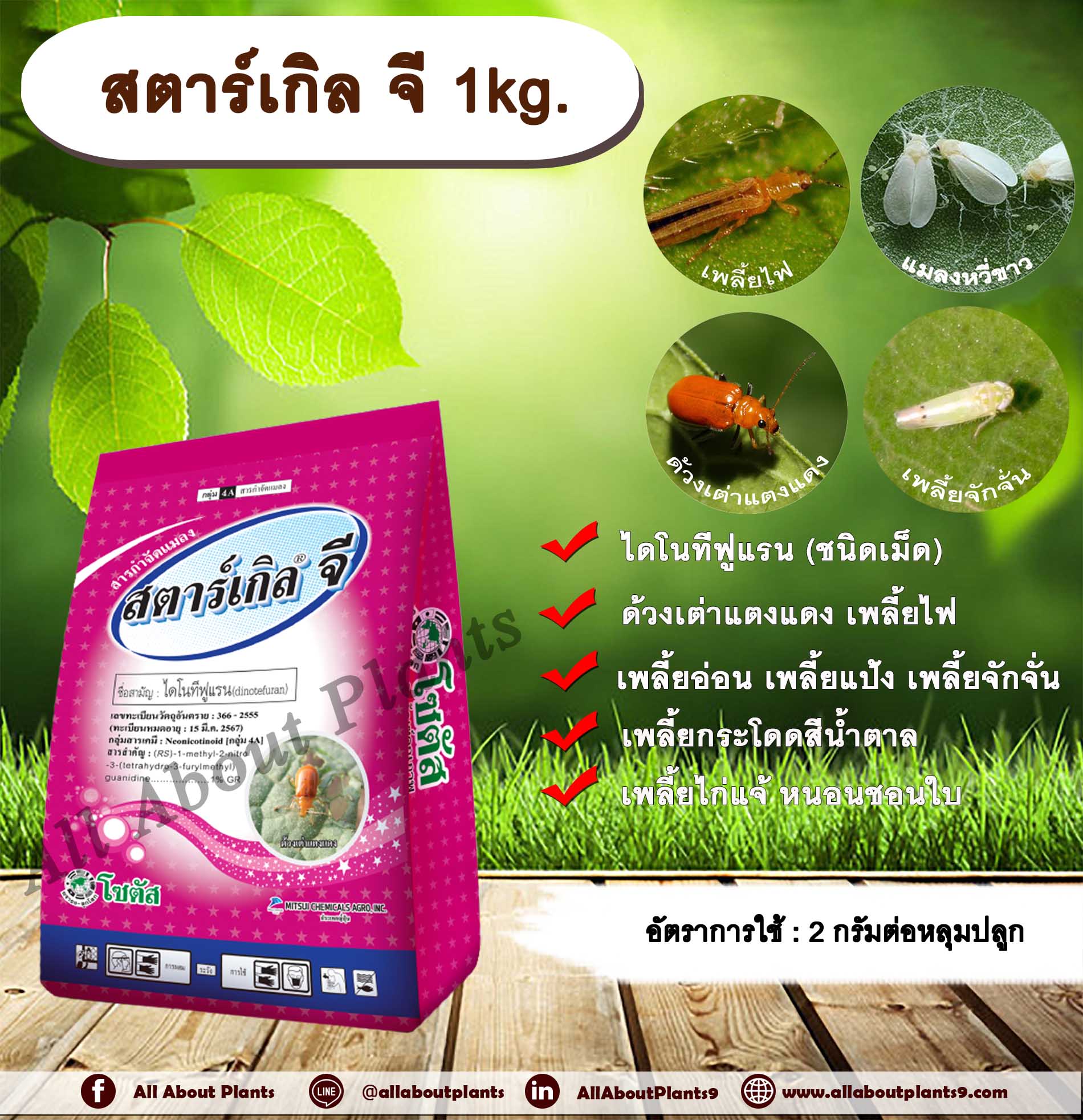 สตาร์เกิล จี 1kg. ไดโนทีฟูแรนชนิดเม็ด เม็ดทราย รองก้นหลุม สารกำจัดแมลง กำจัดเพลี้ย กำจัดหอย ด้วงเต่าแตงแดง ชิ้น